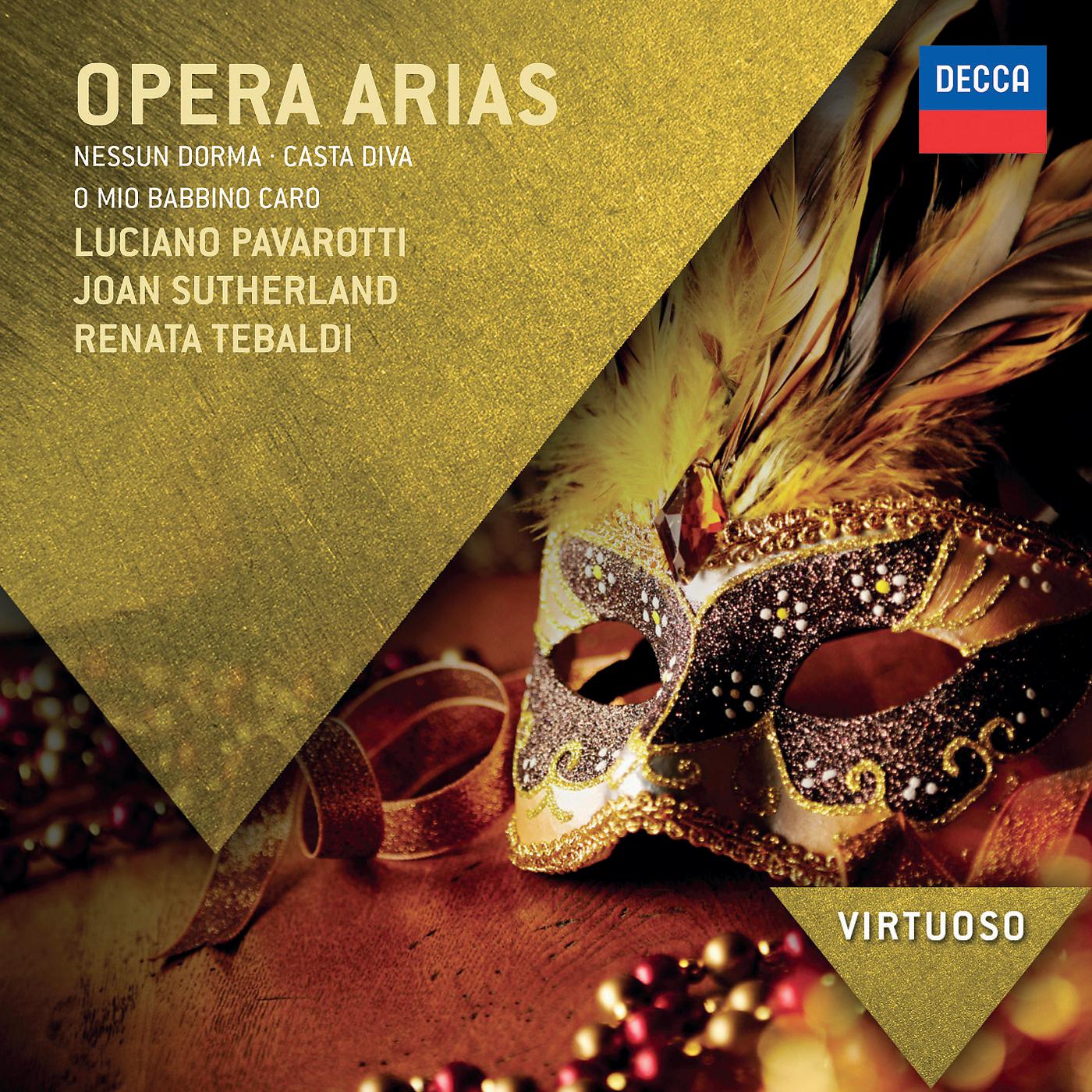 Постер альбома Opera Arias - Nessun Dorma - Casta Diva - O Mio Babbino Caro