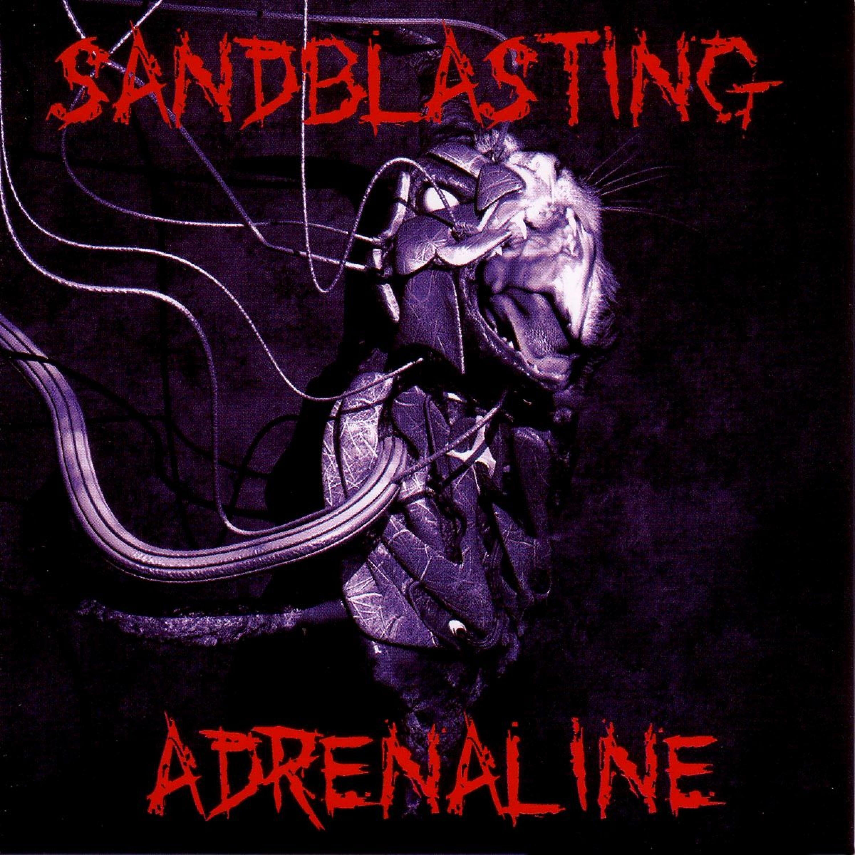 Sandblasting - The Butchers