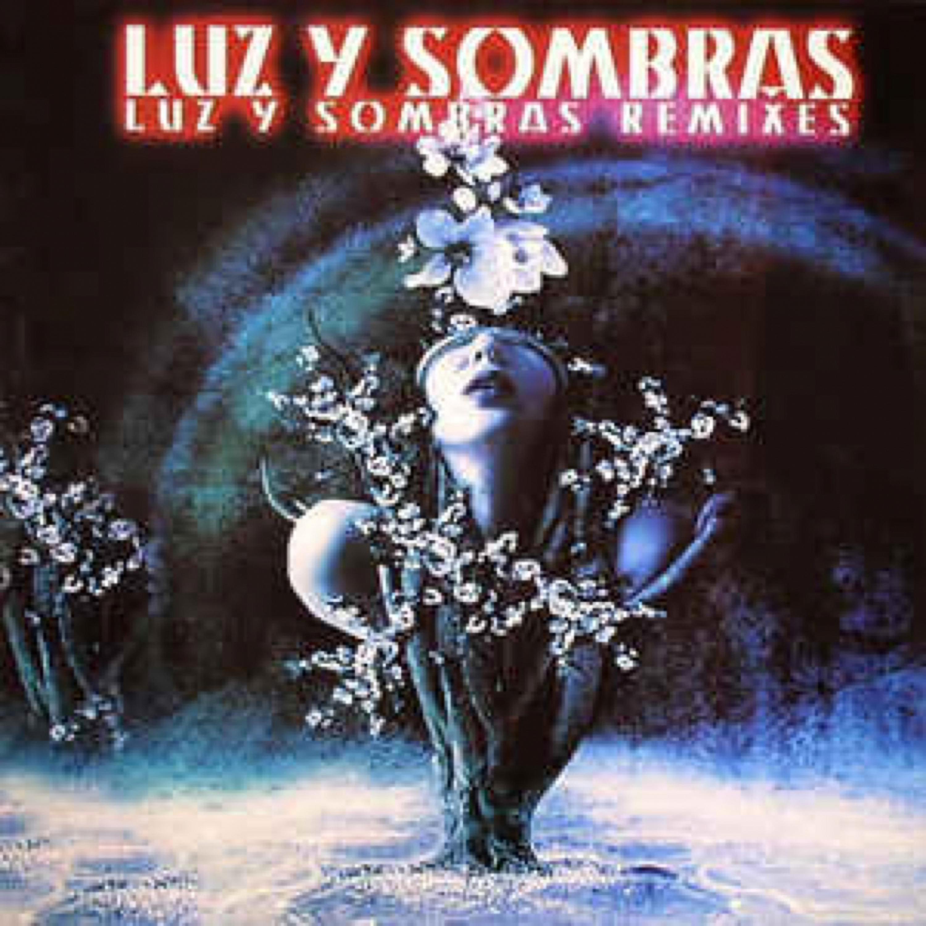 Постер альбома Luz y Sombras