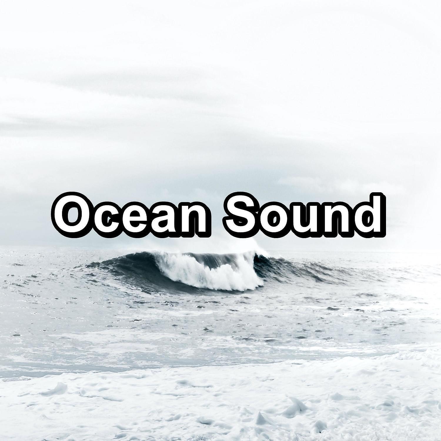 Nature Sounds - Tiny Forest Waterfall Sound