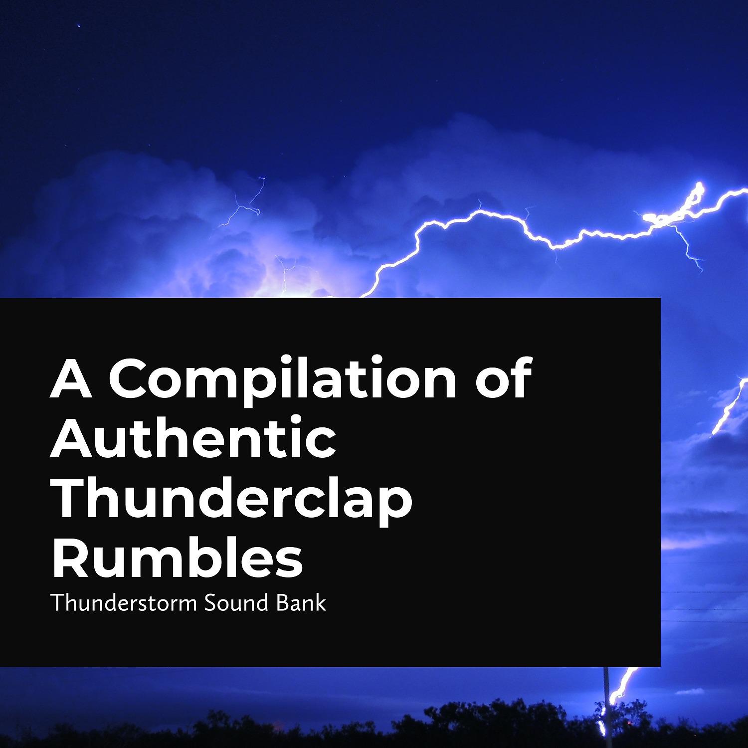 Постер альбома Authentic Thunderclap Rumbles