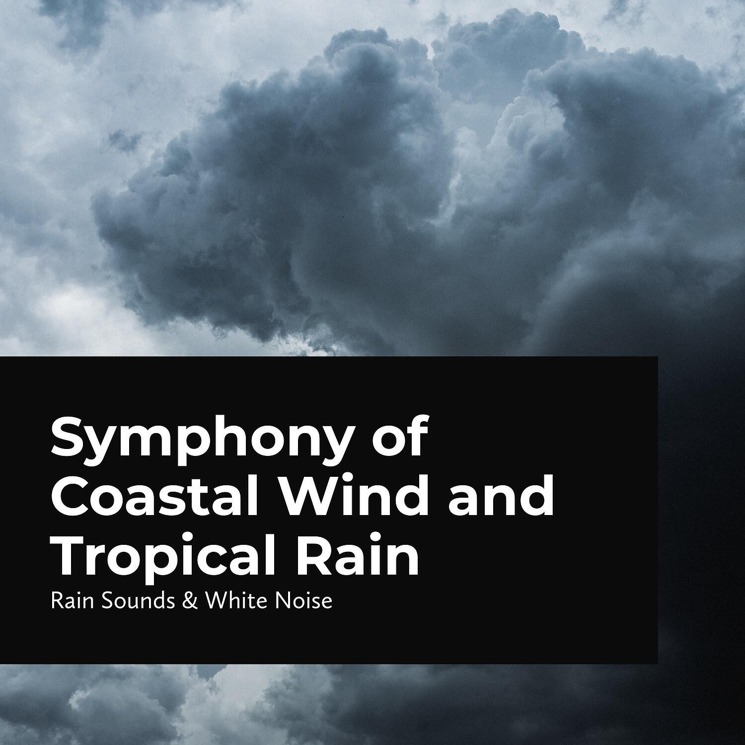 Raindrops Sleep - Off-Shore Western Wind