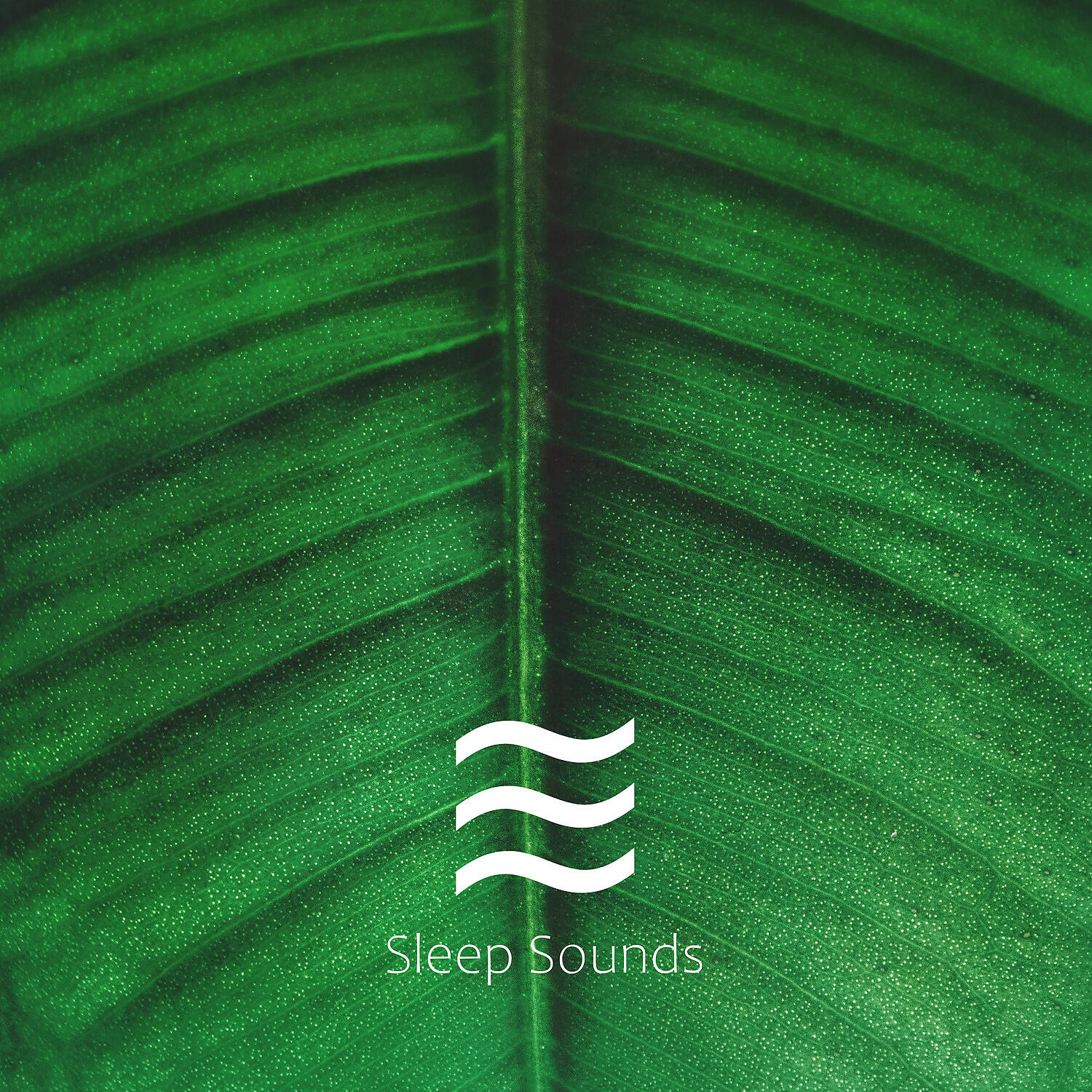 Restful Soughs ASMR - Soft Smooth Shusher Noise Looped