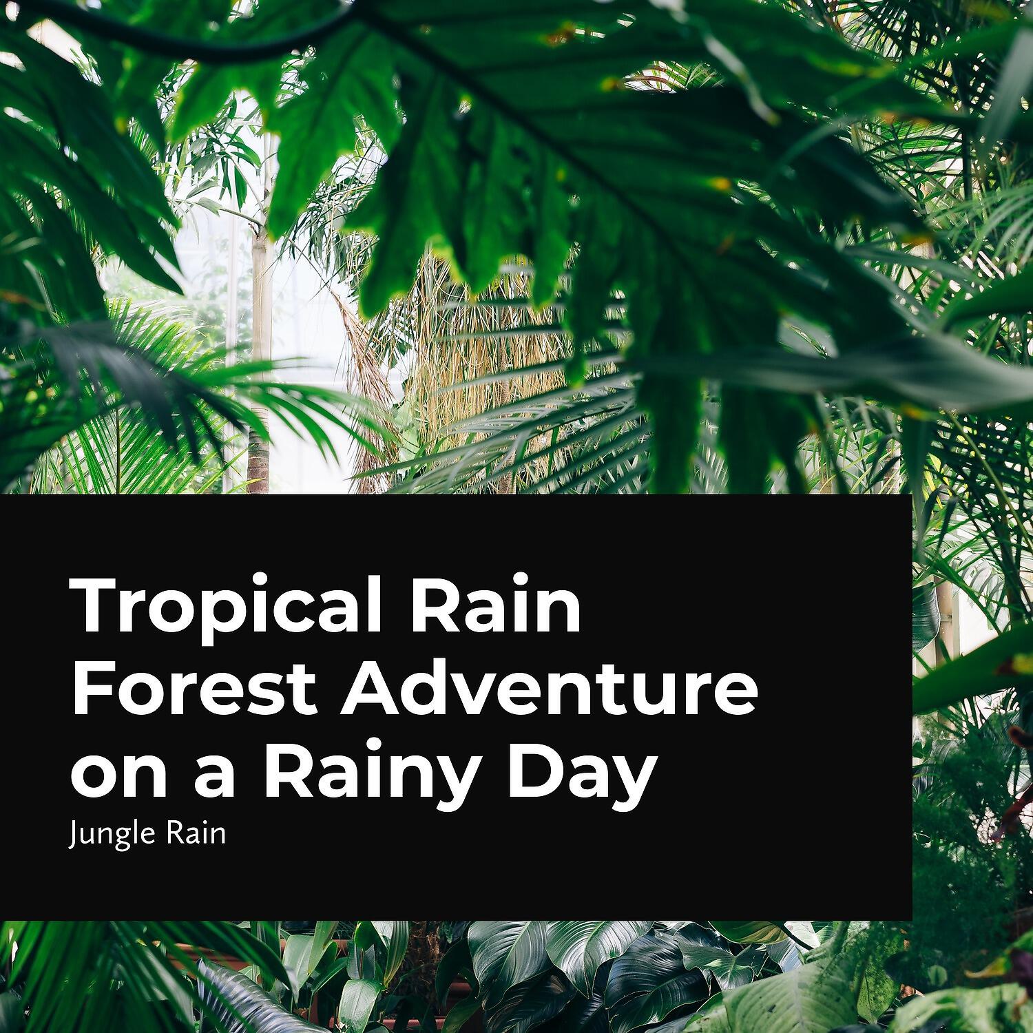 Jungle Rain - Wonders of the Earth