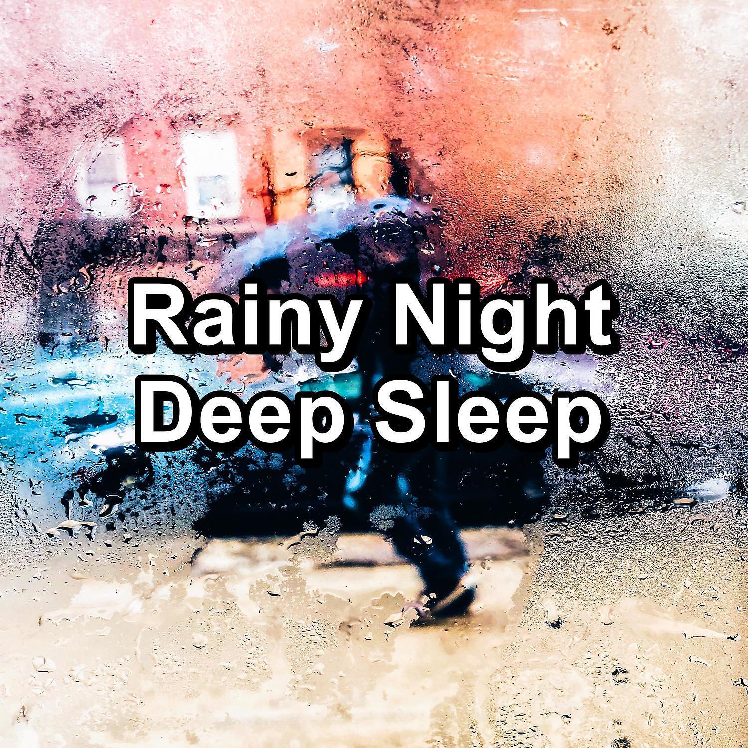 Relax & Relax - Cozy Rain in the Rainy Forest in the Night