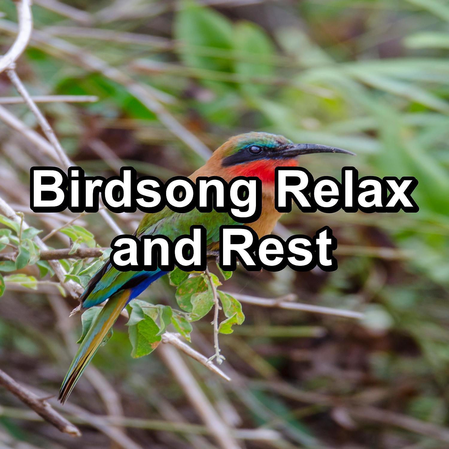 Ocean Wave Sounds - Calm Bird Sounds Instant Deep Sleep For Your Baby