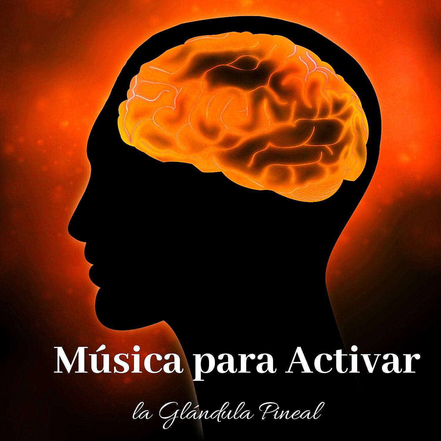 Постер альбома Música para Activar la Glándula Pineal: Musica para Meditar y Activar el Poder de la Mente