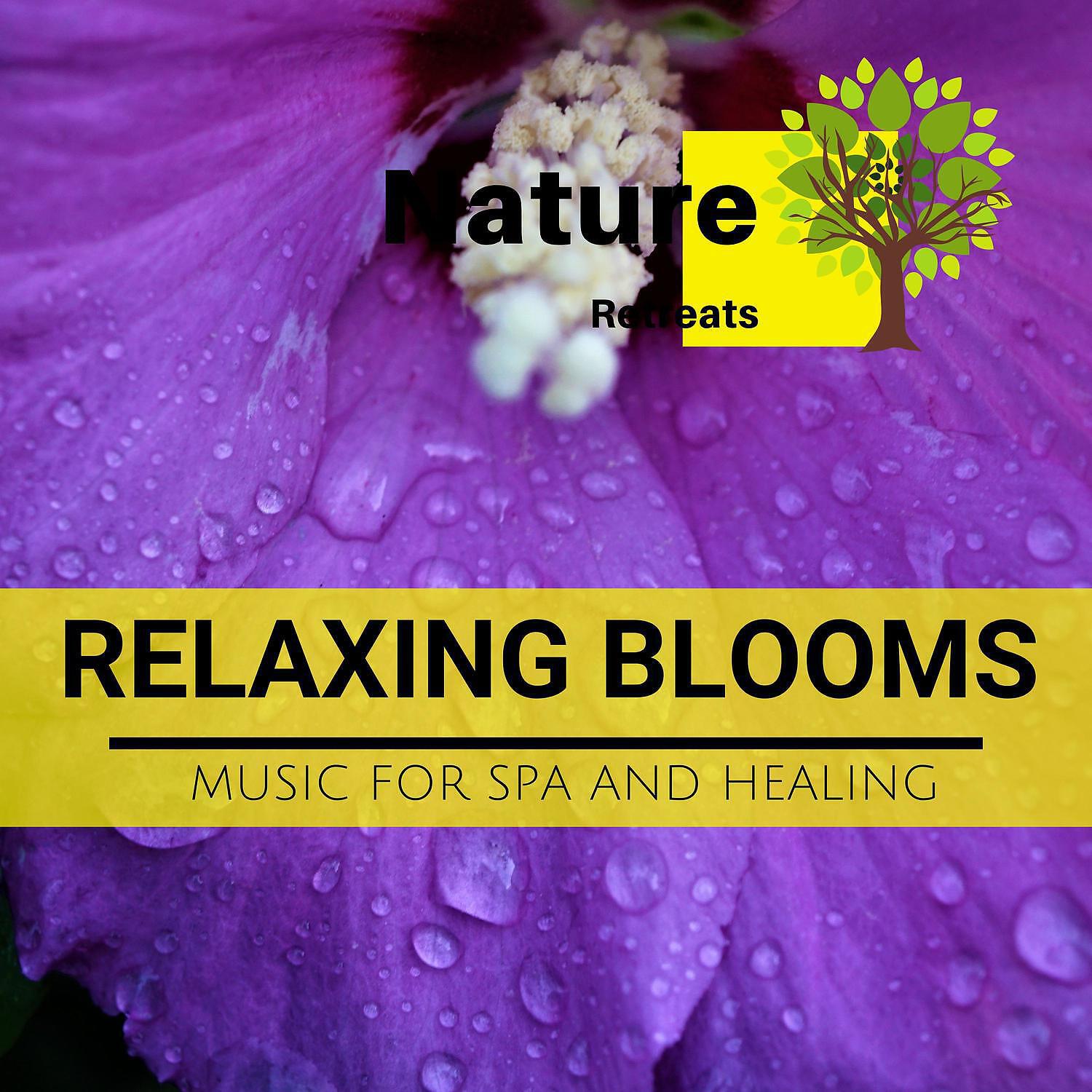 Power Yoga Nature Sounds - It's My Paradise