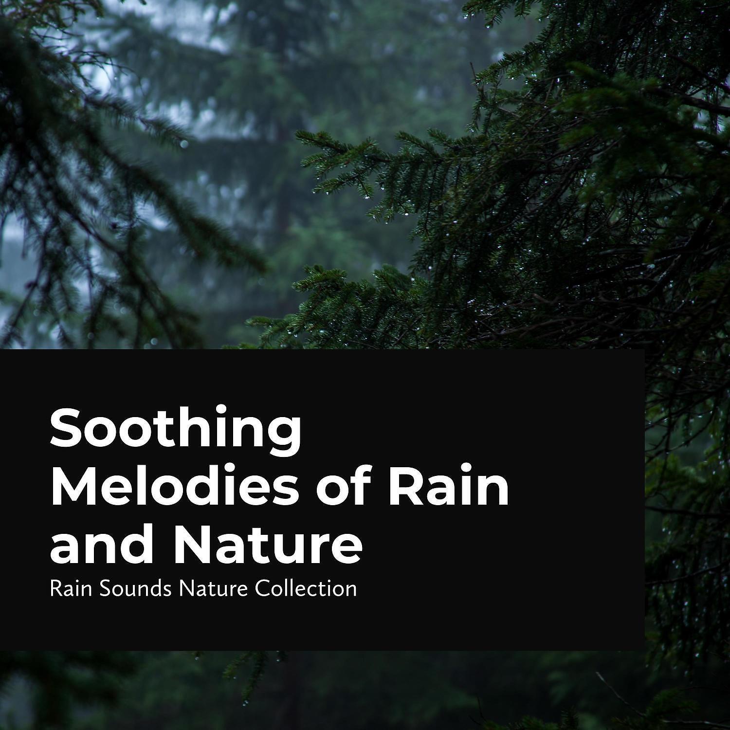 Rain Sounds Nature Collection - Rainfall with Thunder Claps