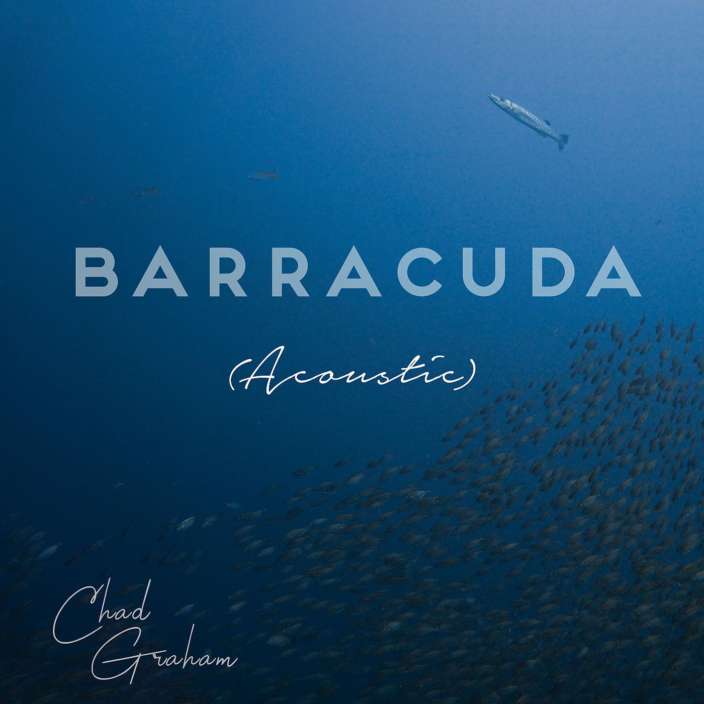 Постер альбома Barracuda (Acoustic)