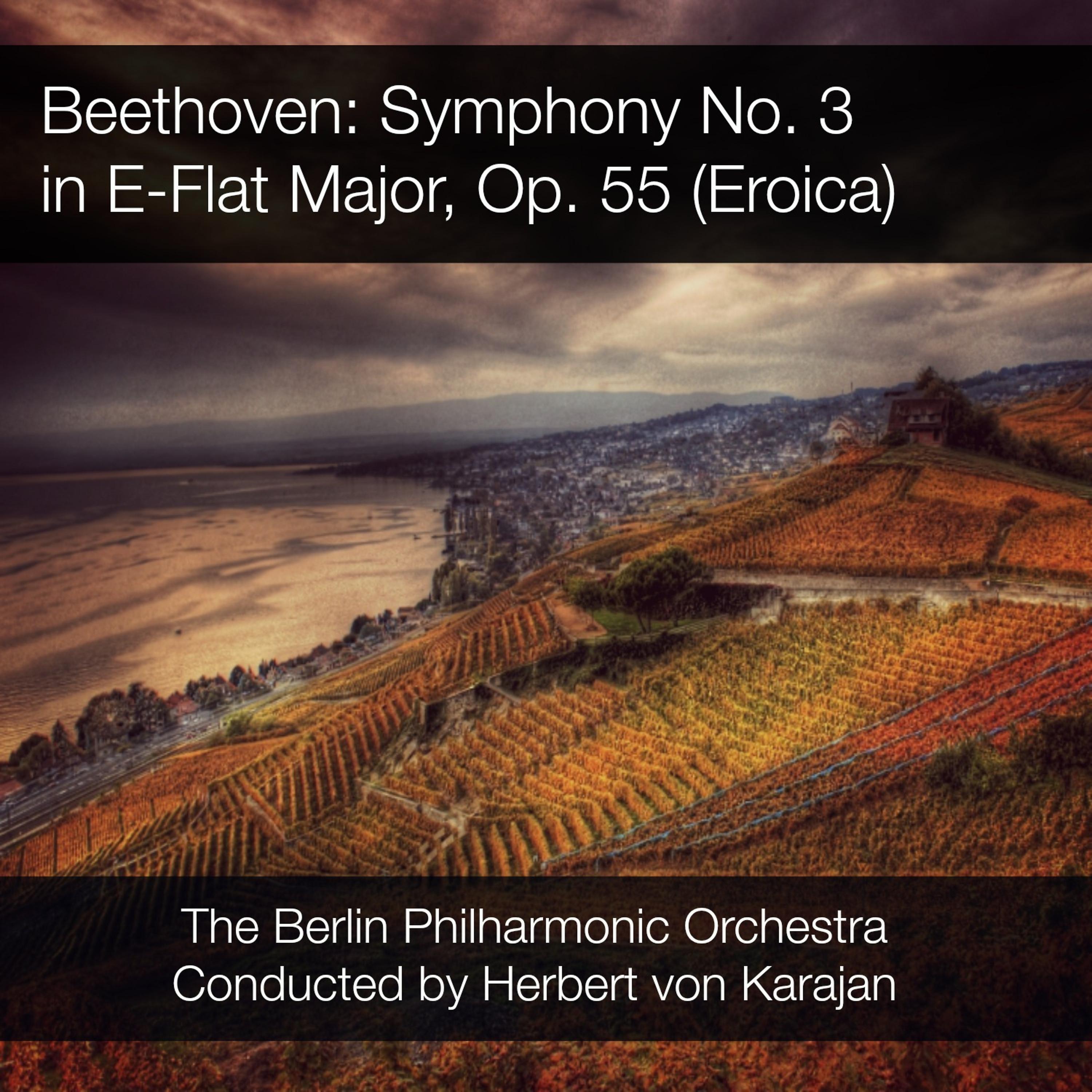 Постер альбома Beethoven: Symphony No. 3 in E-Flat Major, Op. 55