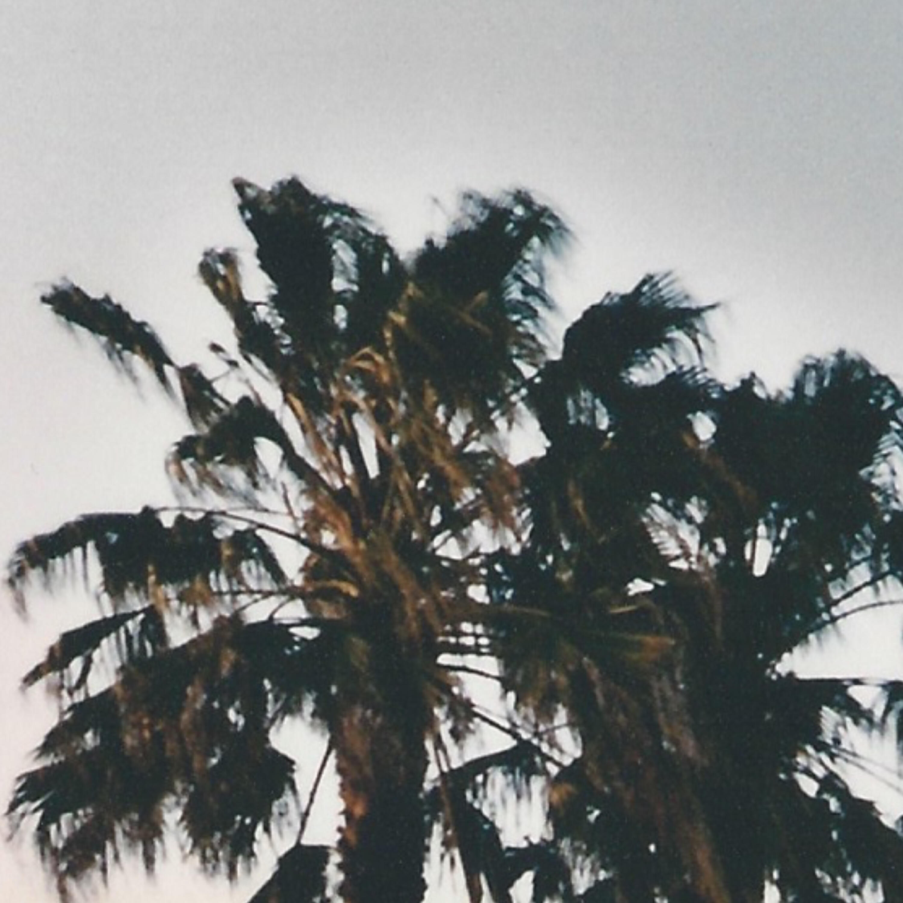 Max kuehn - Copy and Paste