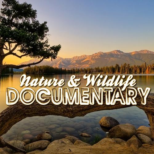 Постер альбома Nature & Wildlife Documentary (Music for Documentaries, Ambient, World Music, Landscapes, New Age)