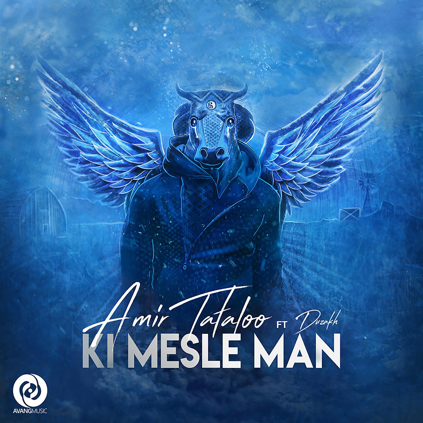 Постер альбома Ki Mesle Man