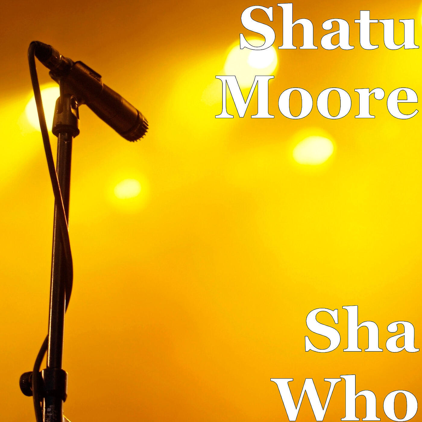 Shatu Moore - Go Get