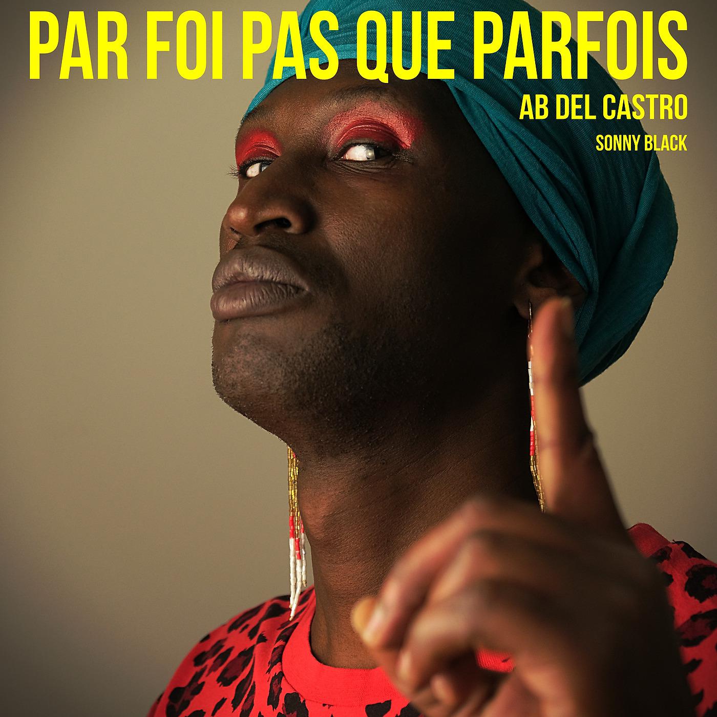 Постер альбома Par Foi pas que Parfois
