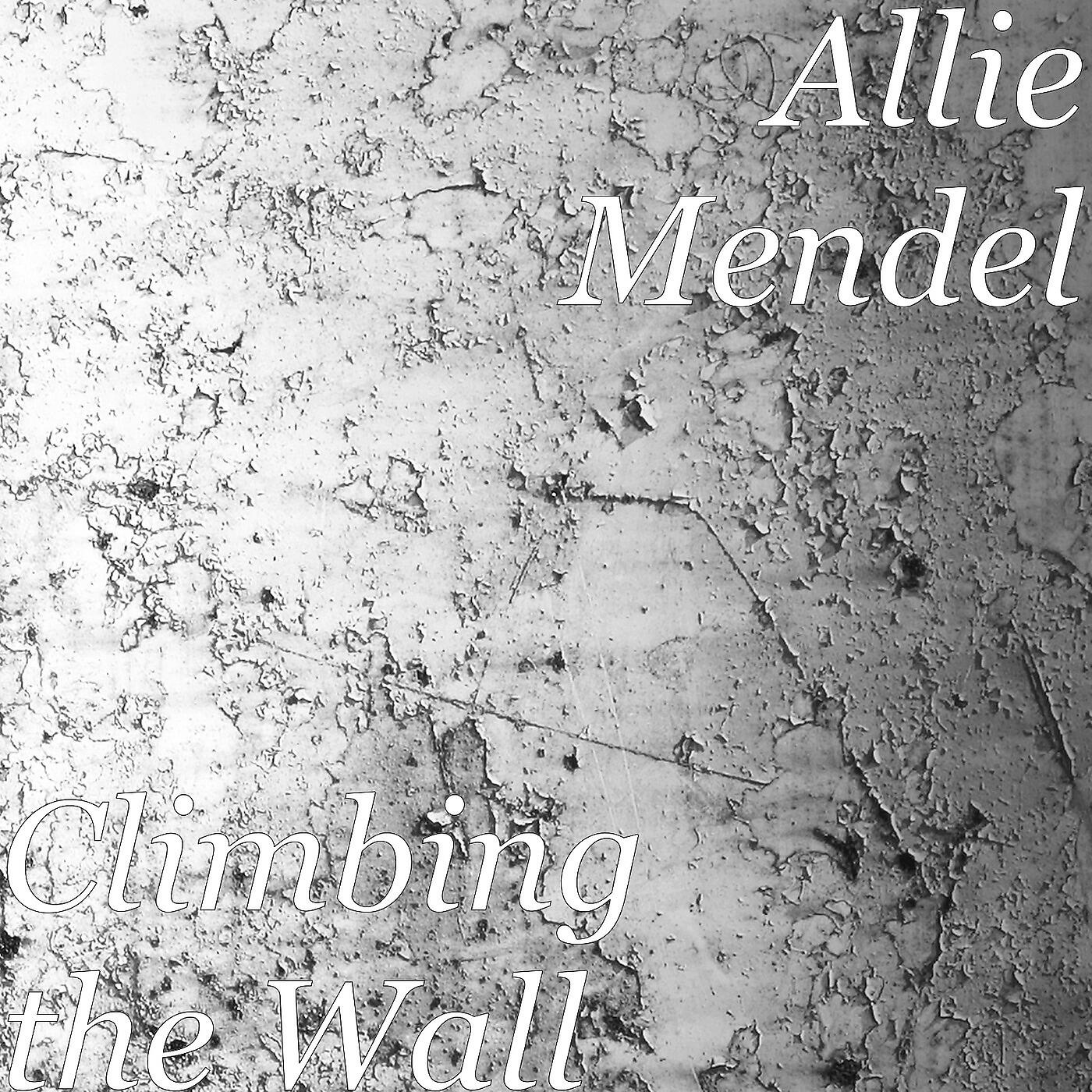 Allie Mendel - Stopping By