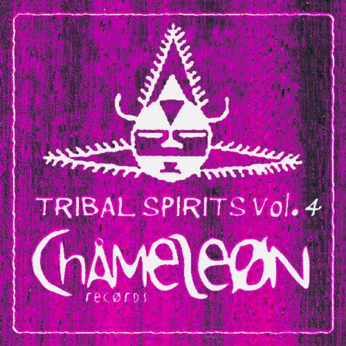 Постер альбома Tribal Spirits, Vol. 4