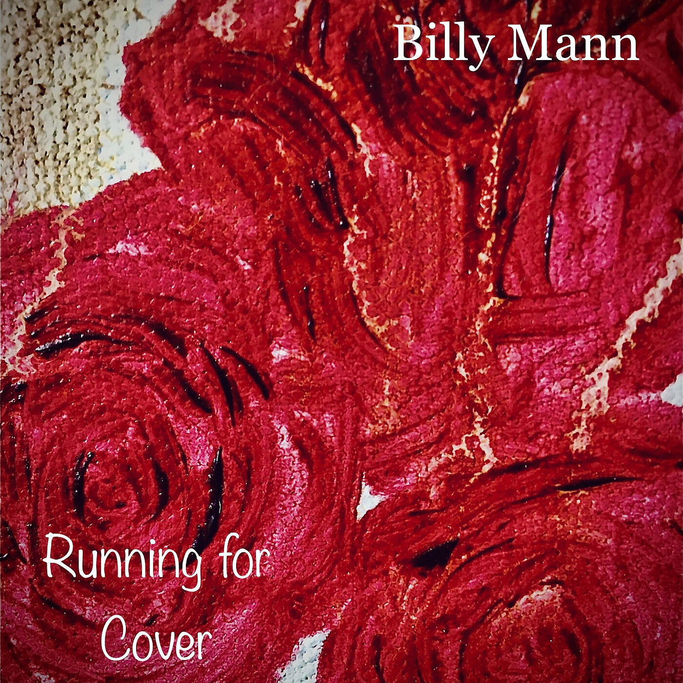Billy Mann - Skyway/The Replacements (Cover)