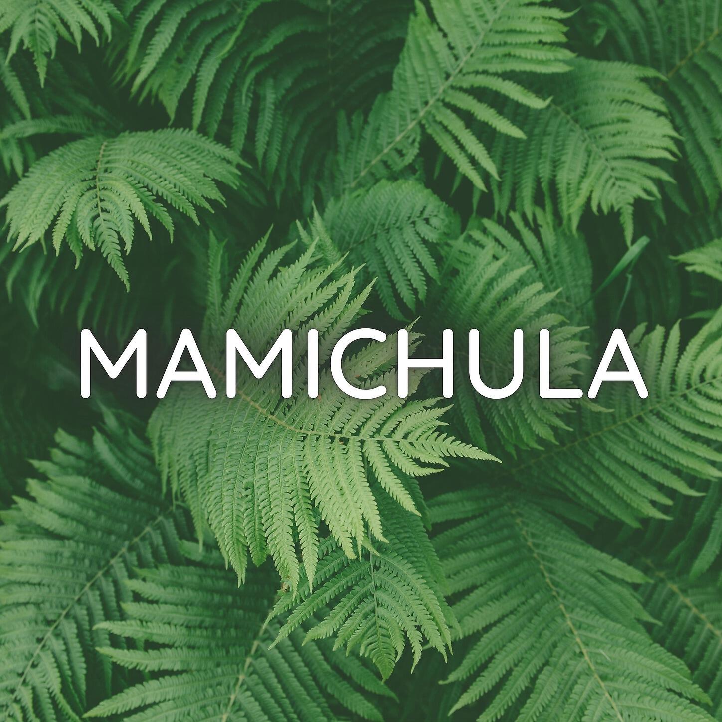 DJ MRK - Mamichula