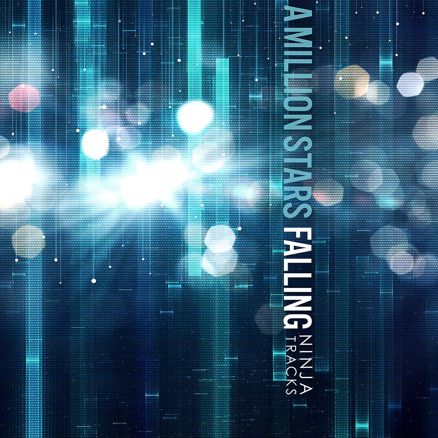 NINJA TRACKS - Visionary