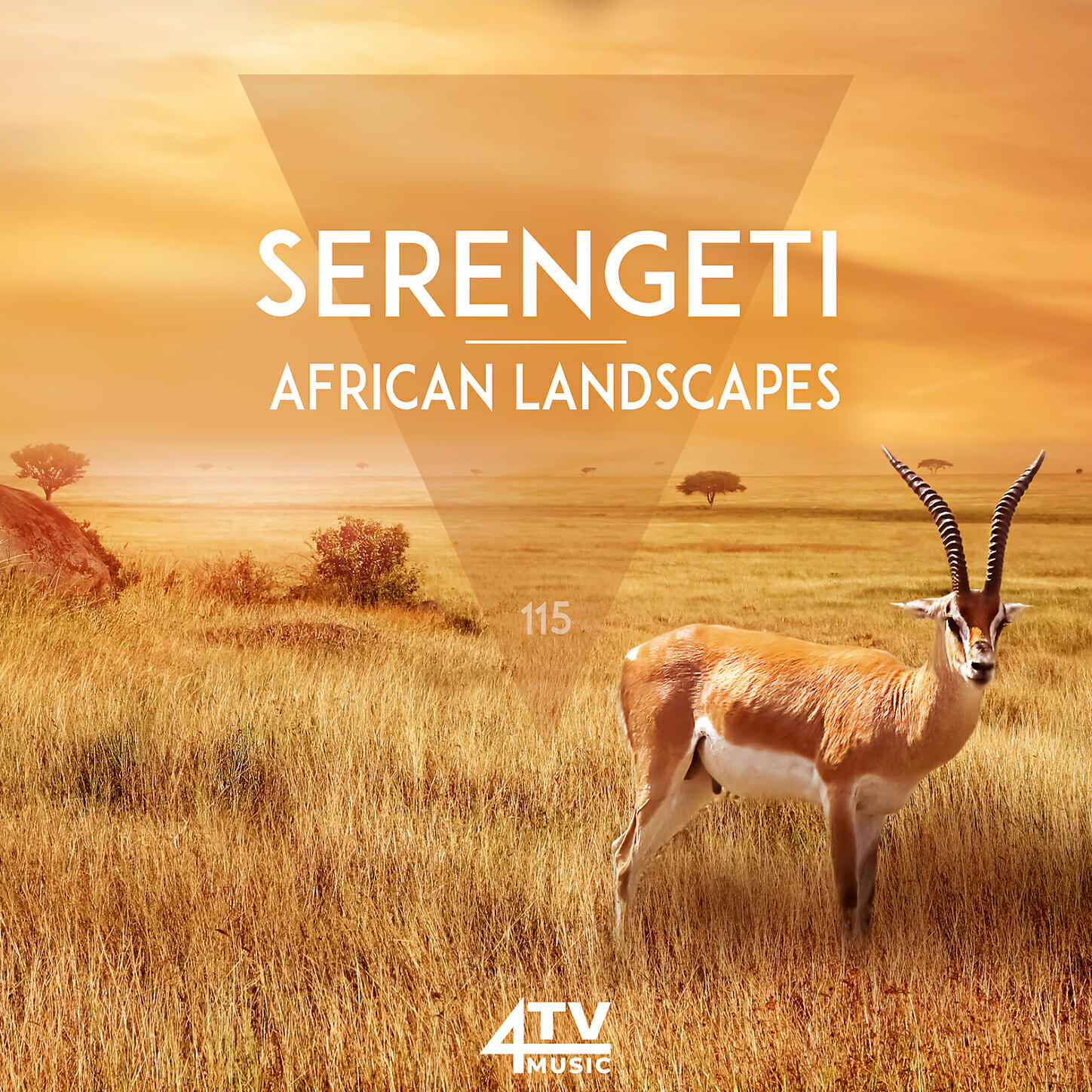 4TVmusic - Serengeti Rain