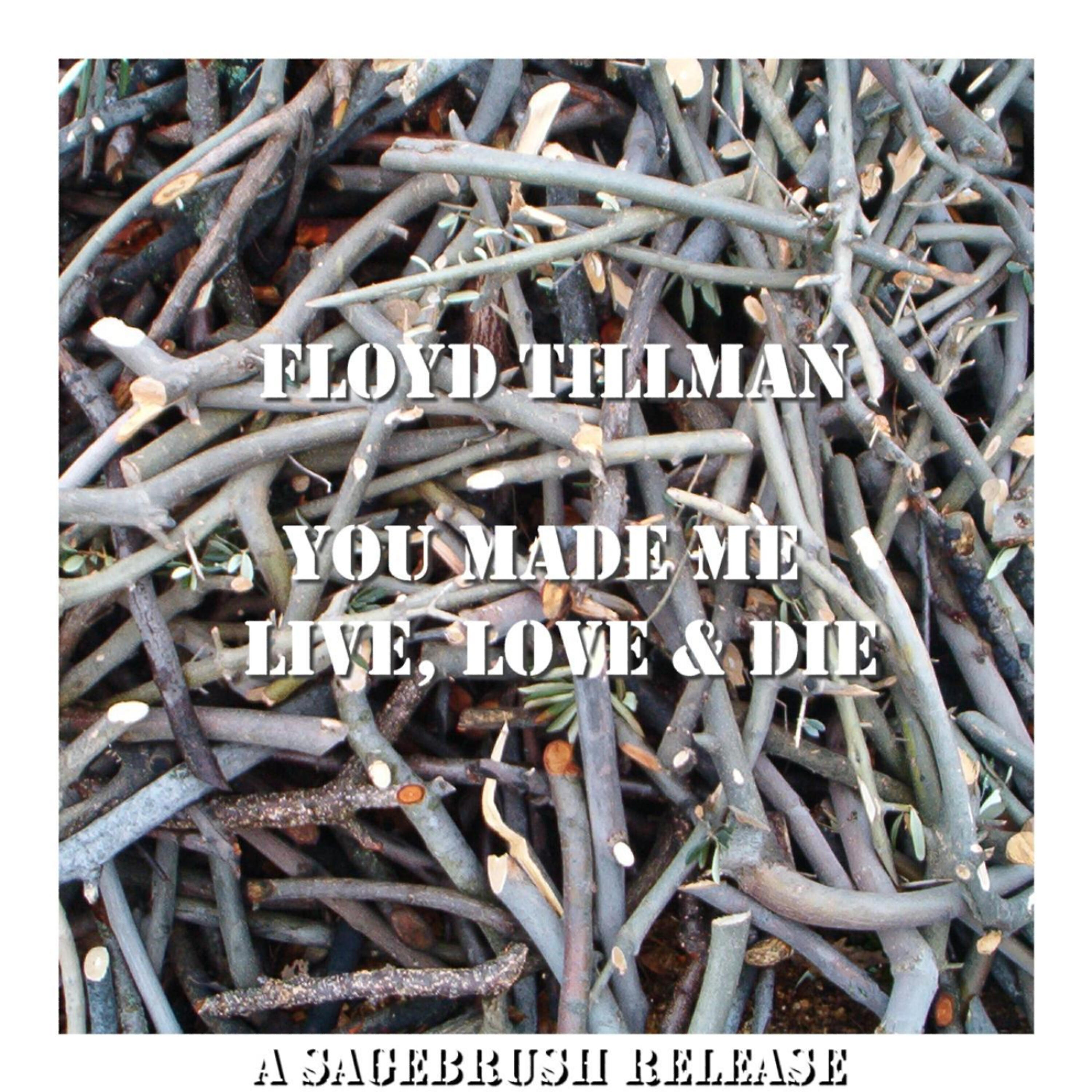 Floyd Tillman - Drivin' Nails In My Coffin