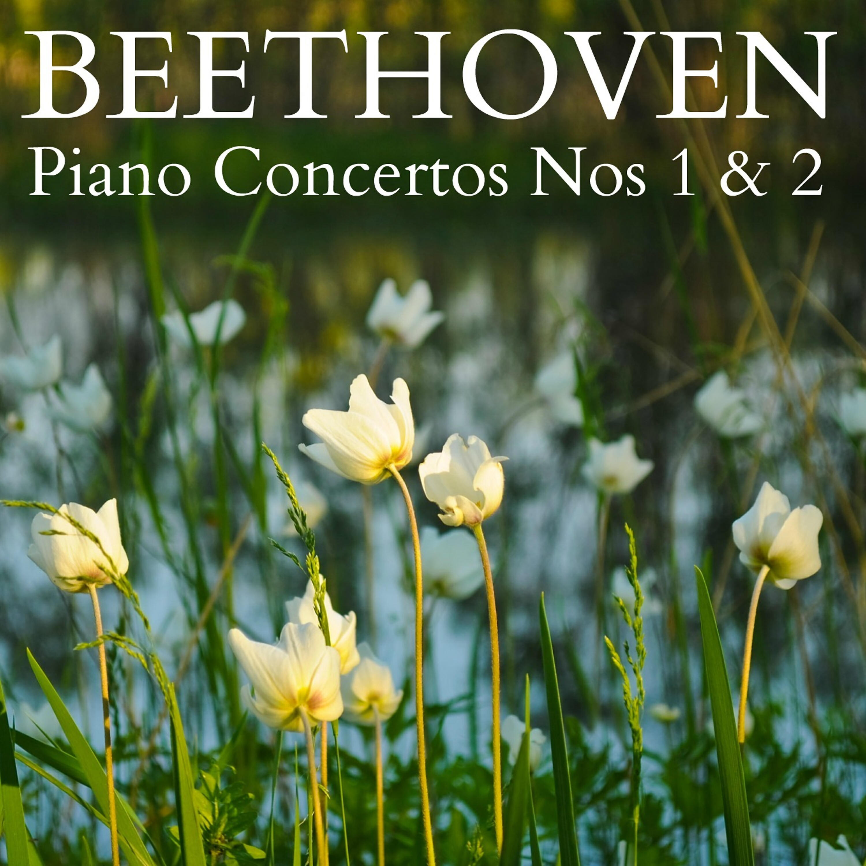 The Vienna Symphony Orchestra - Piano Concerto No. 1 in C Major, Op. 15: Allegro con Brio