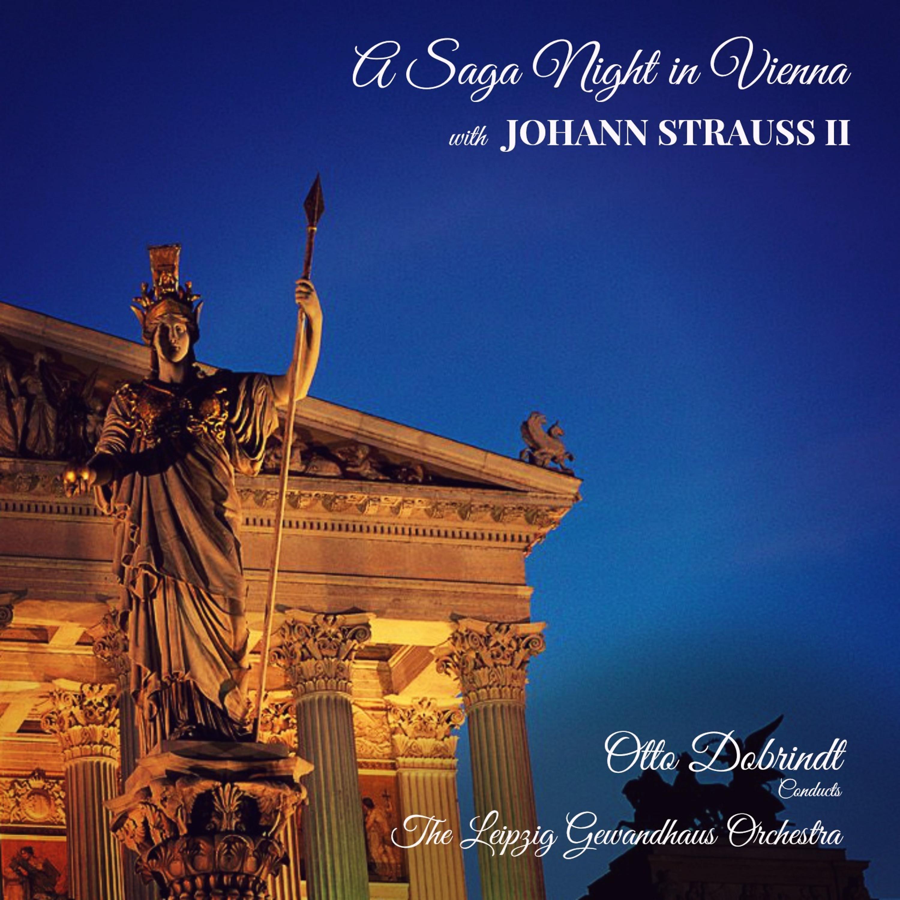 Постер альбома A Saga Night in Vienna with Johann Strauss II