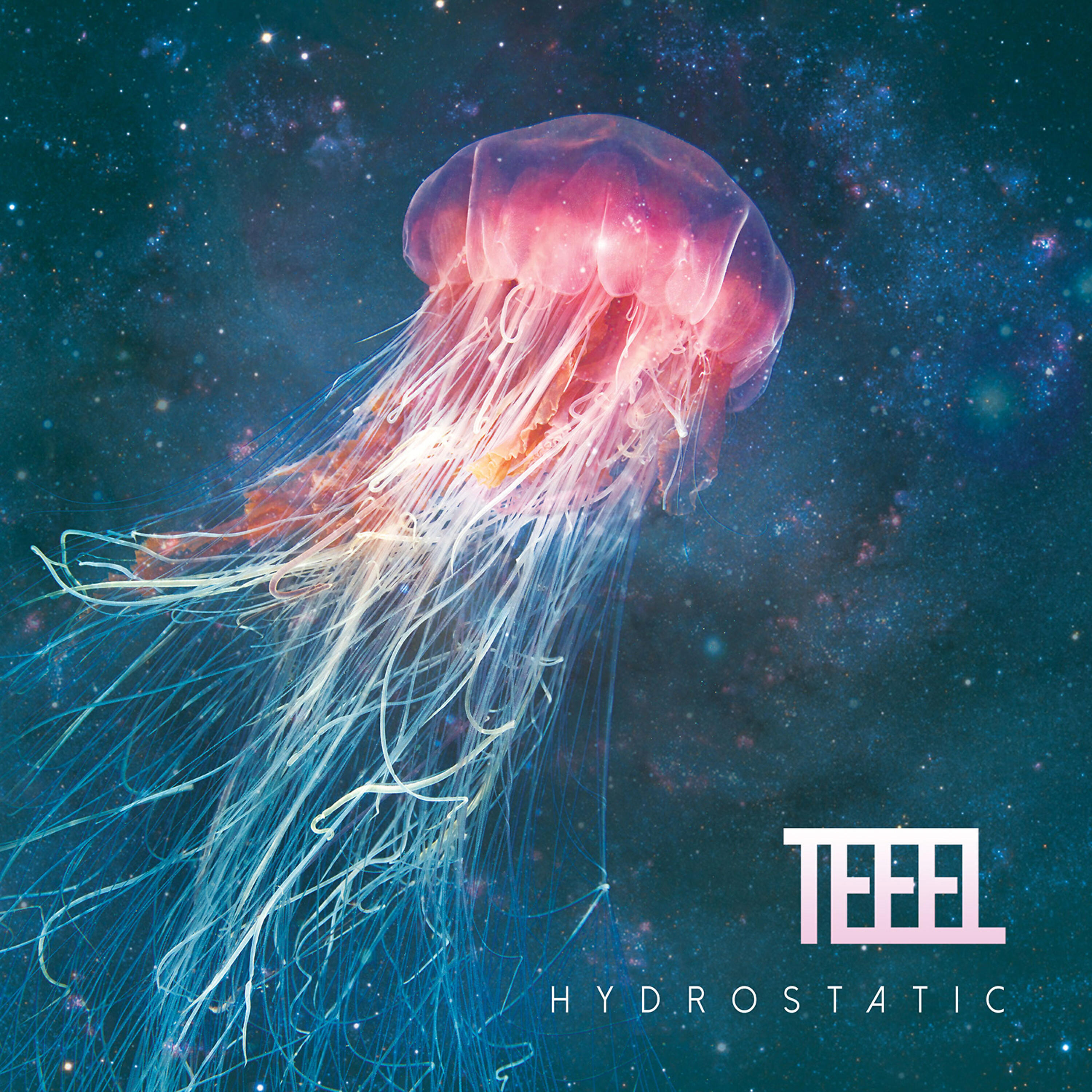 TEEEL - Disk Go