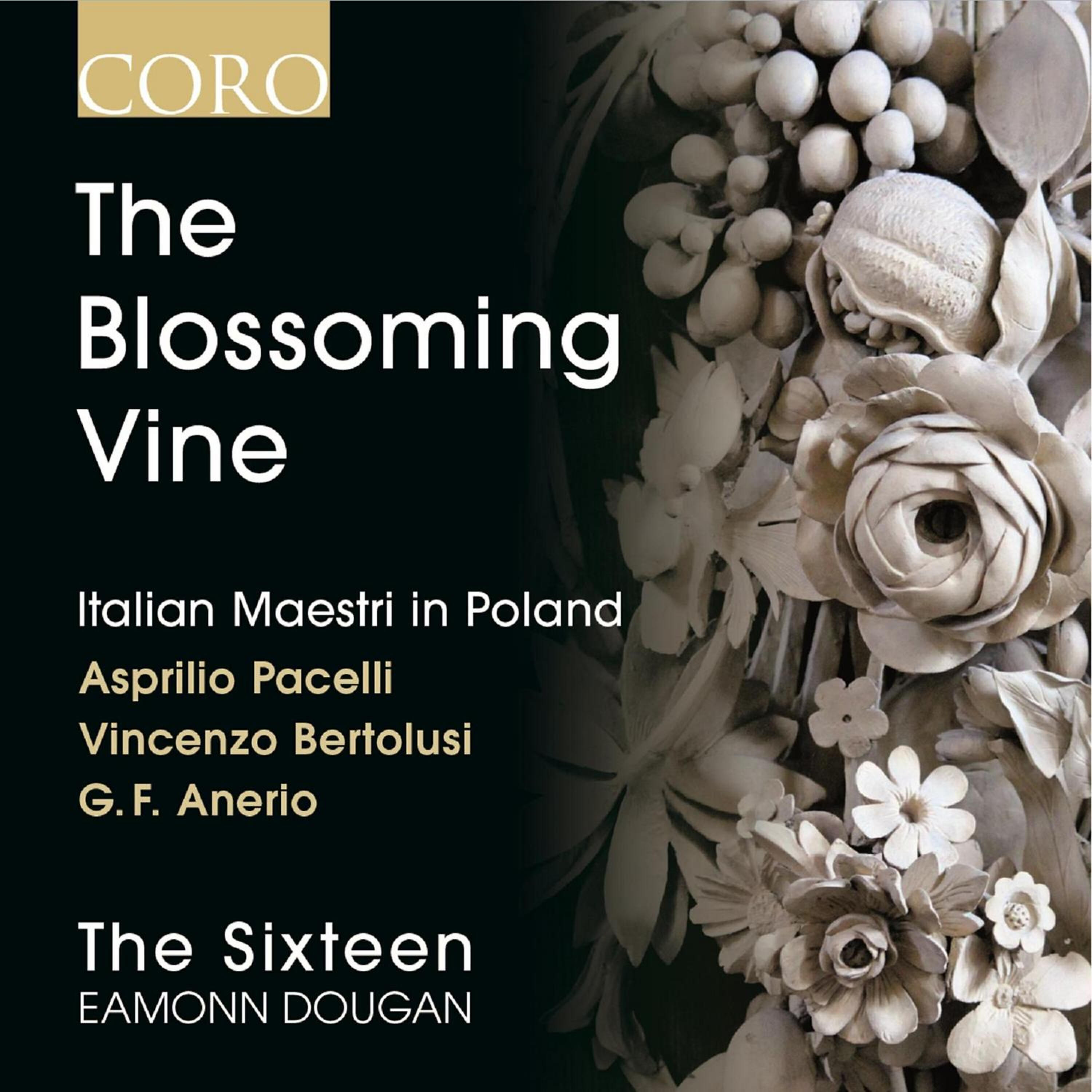The SIxteen - Ego flos campi