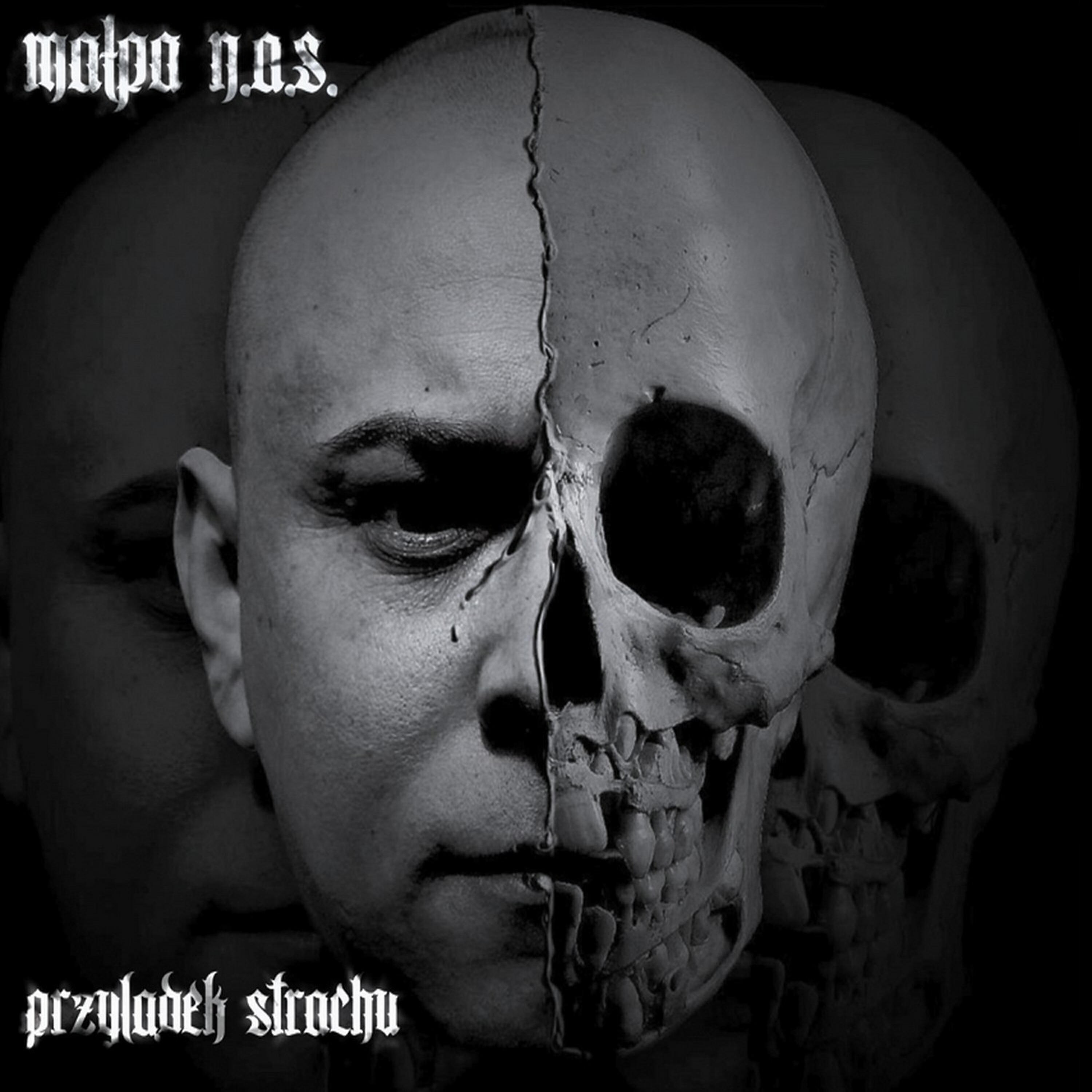 Malpa N.A.S - Nie Musisz Byc Kim Mowia