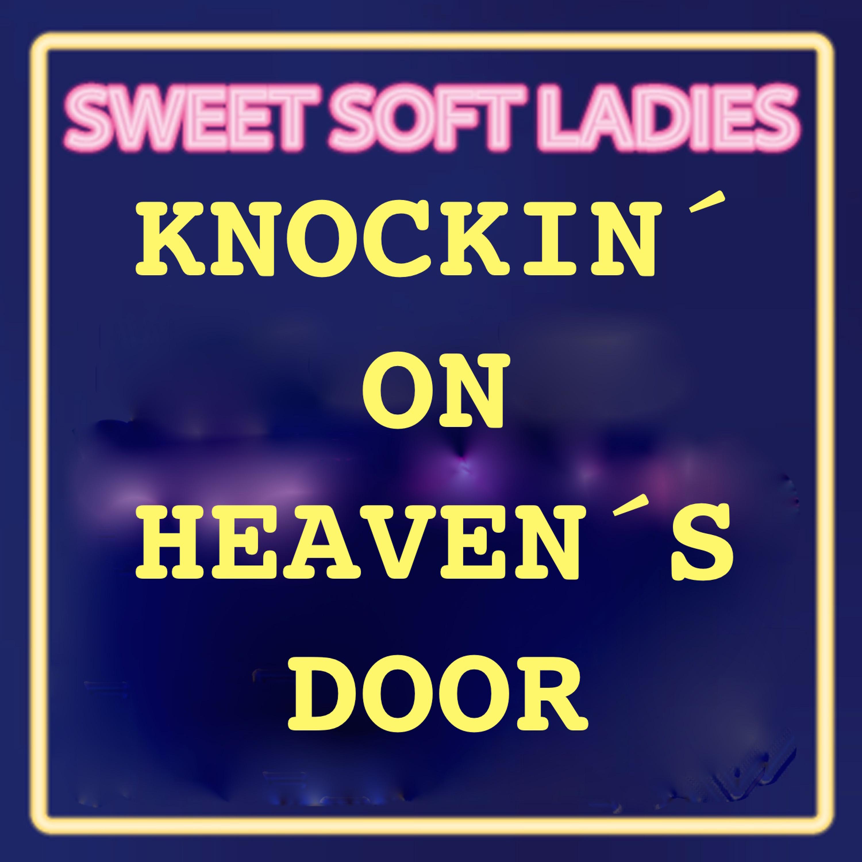 Постер альбома Knockin on Heaven´s Door
