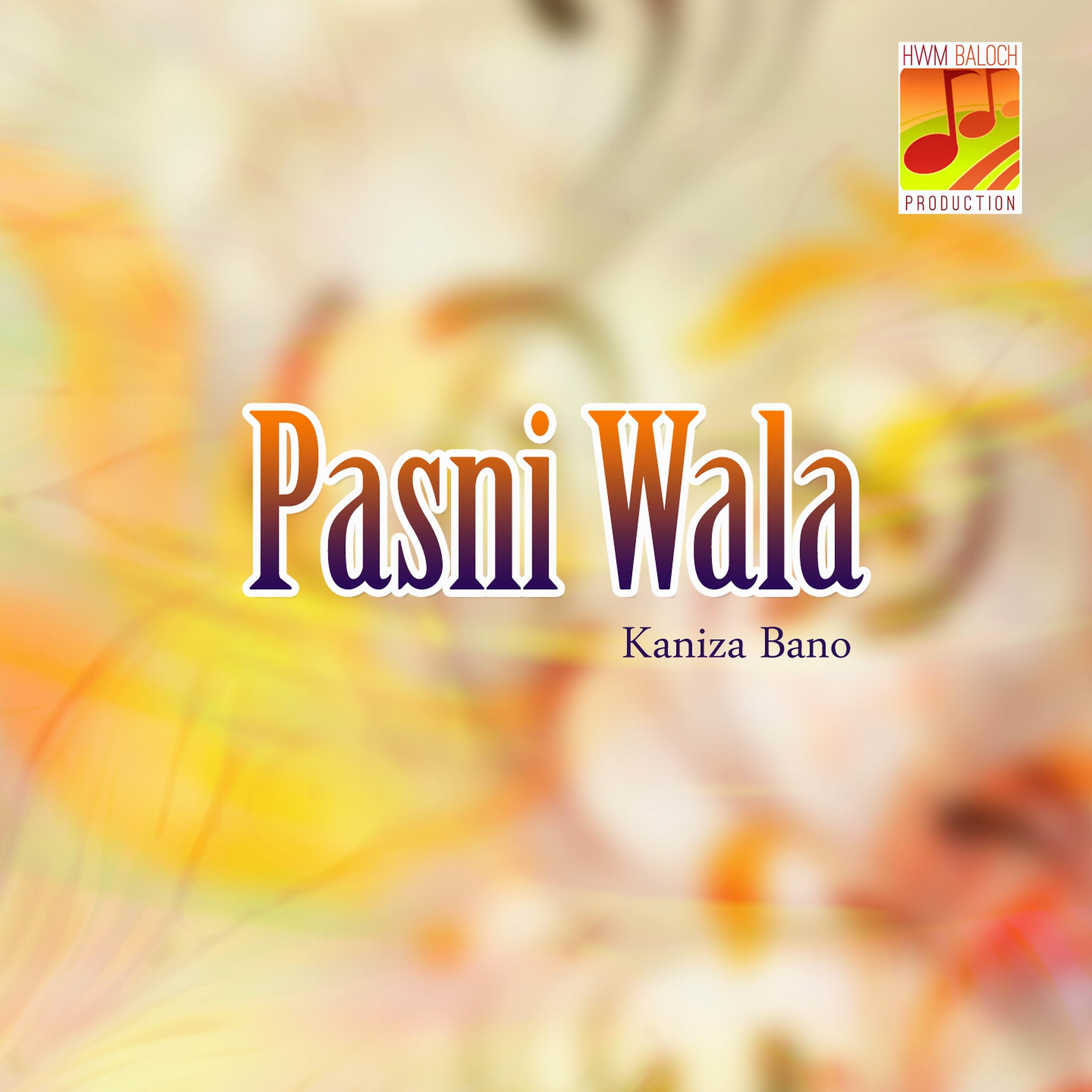 Постер альбома Pasni Wala