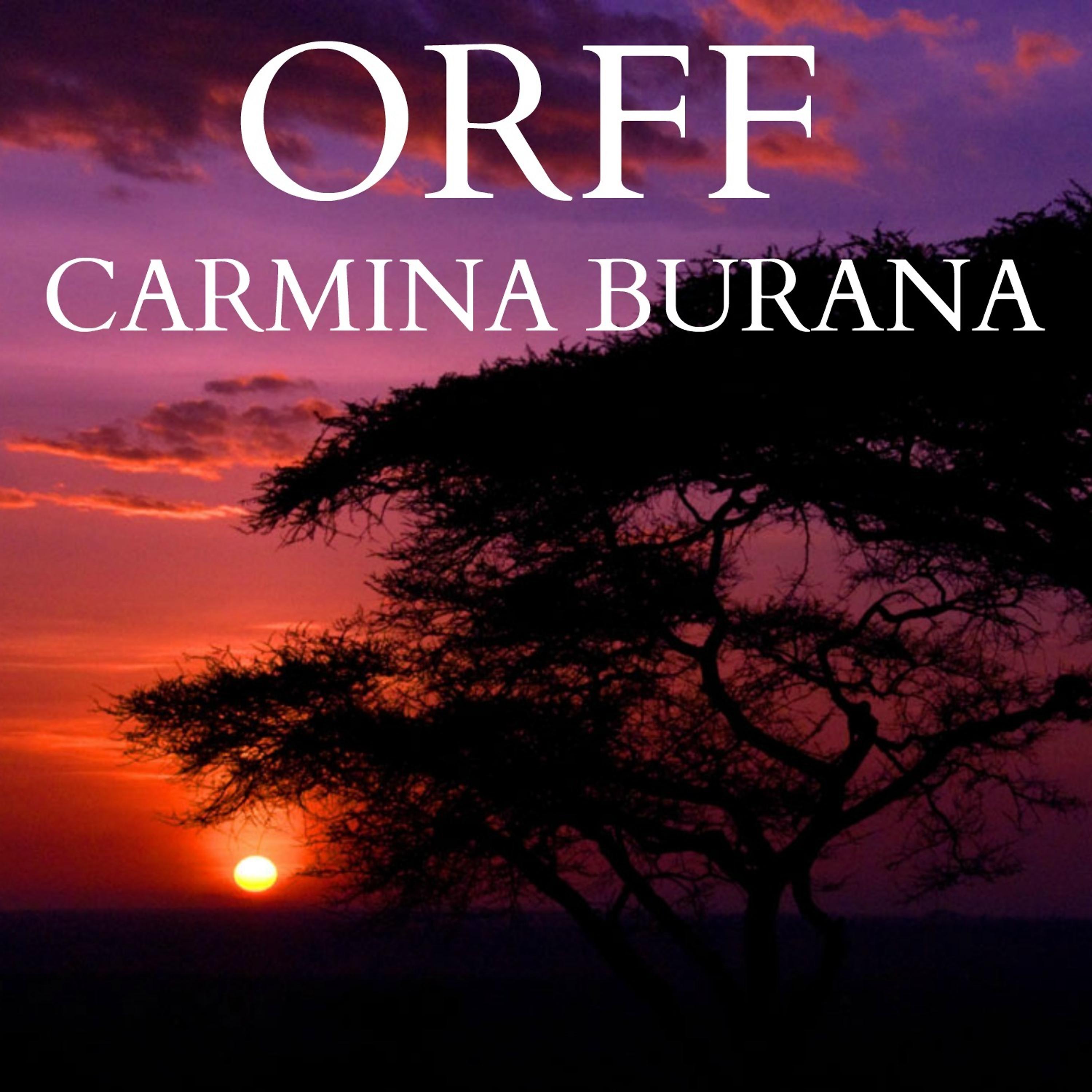 Постер альбома Orff - Carmina Burana