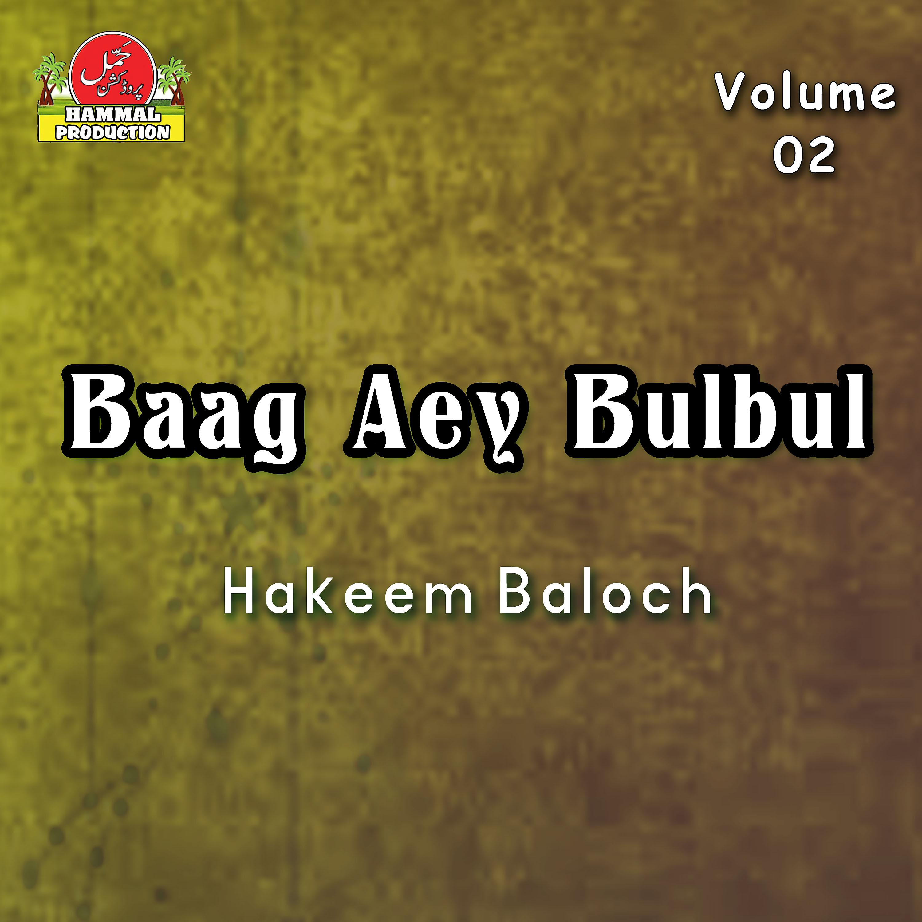 Постер альбома Baag Aey Bulbul, Vol. 02