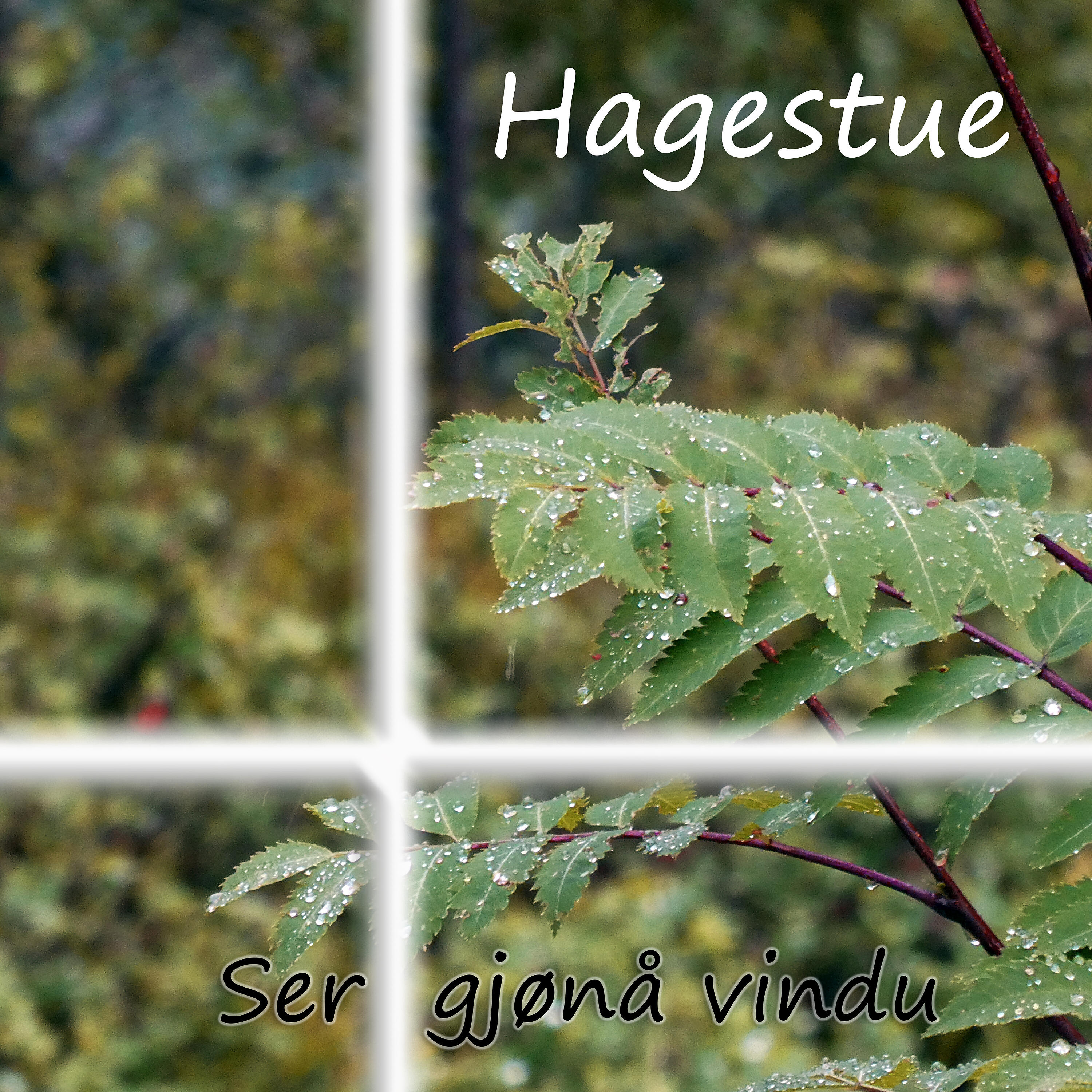 Hagestue - Ser gjønå vindu