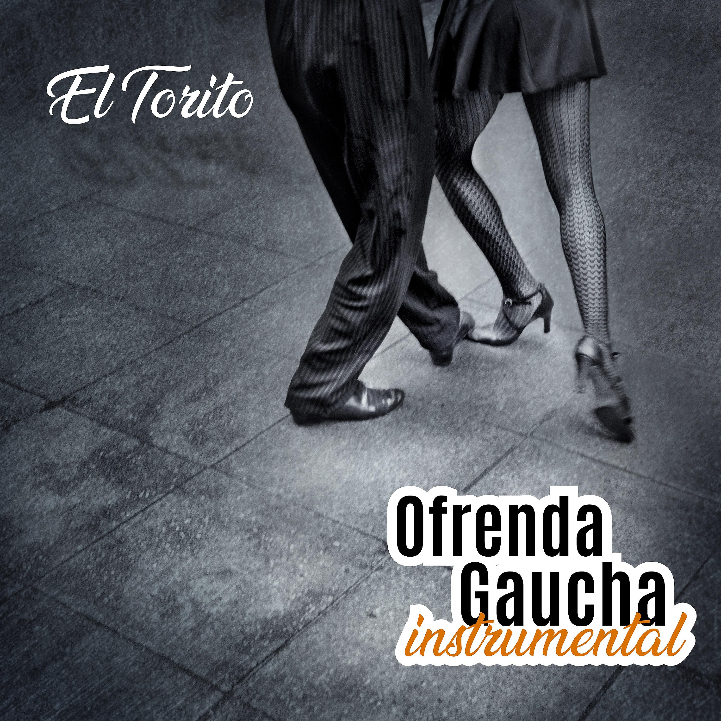 Постер альбома Ofrenda Gaucha Instrumental: El Torito