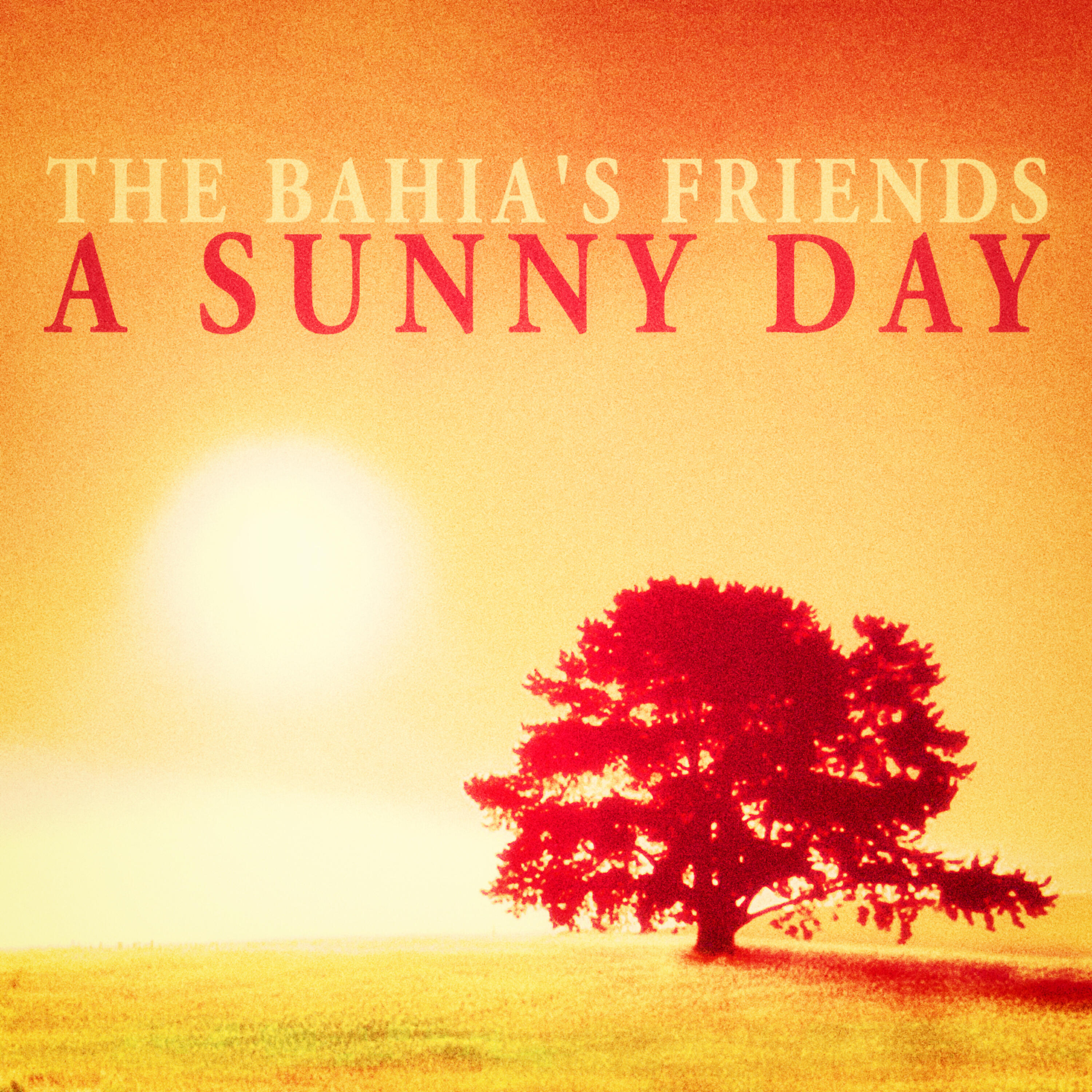 The Bahia's Friends - El Nino
