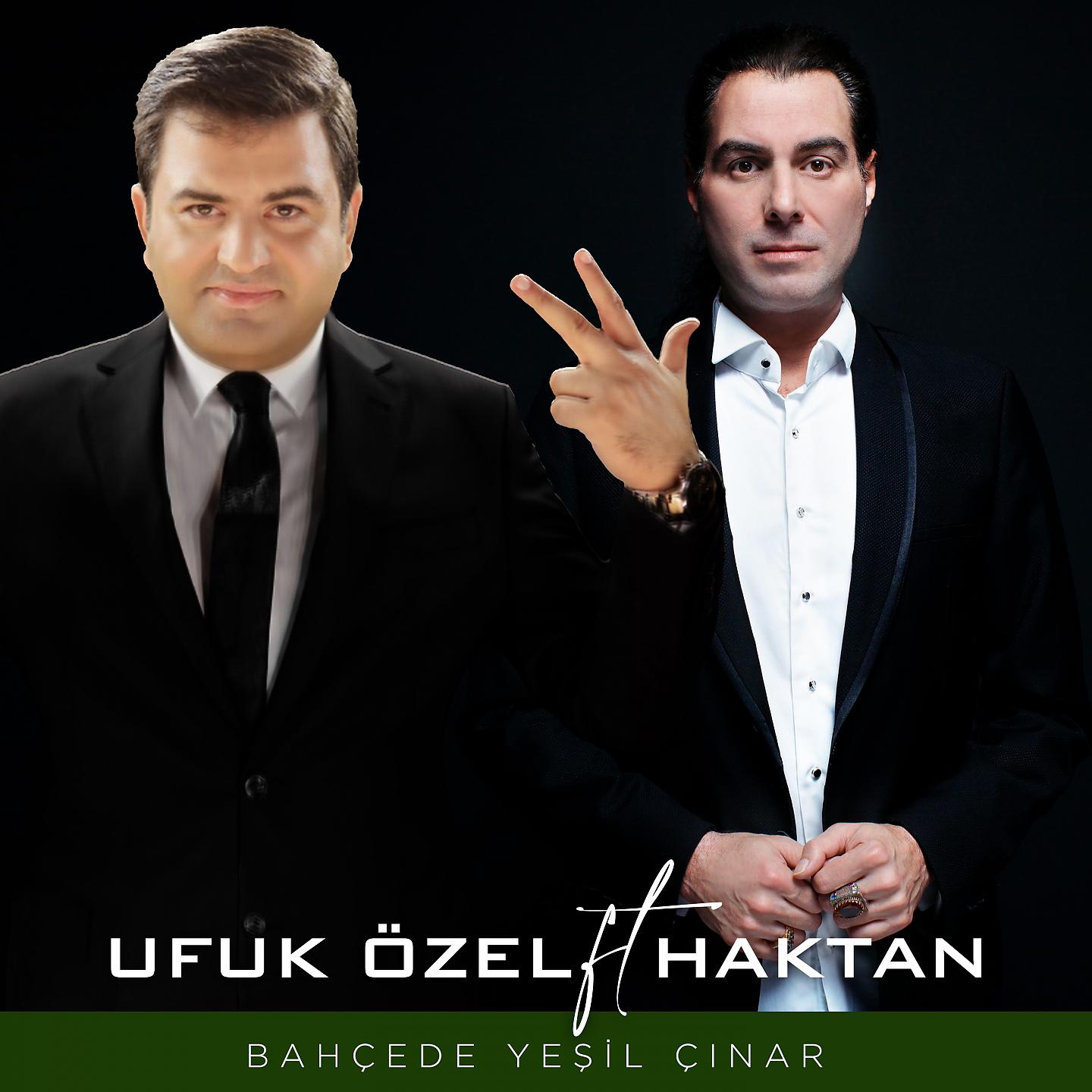 Постер альбома Bahçede Yeşil Çınar