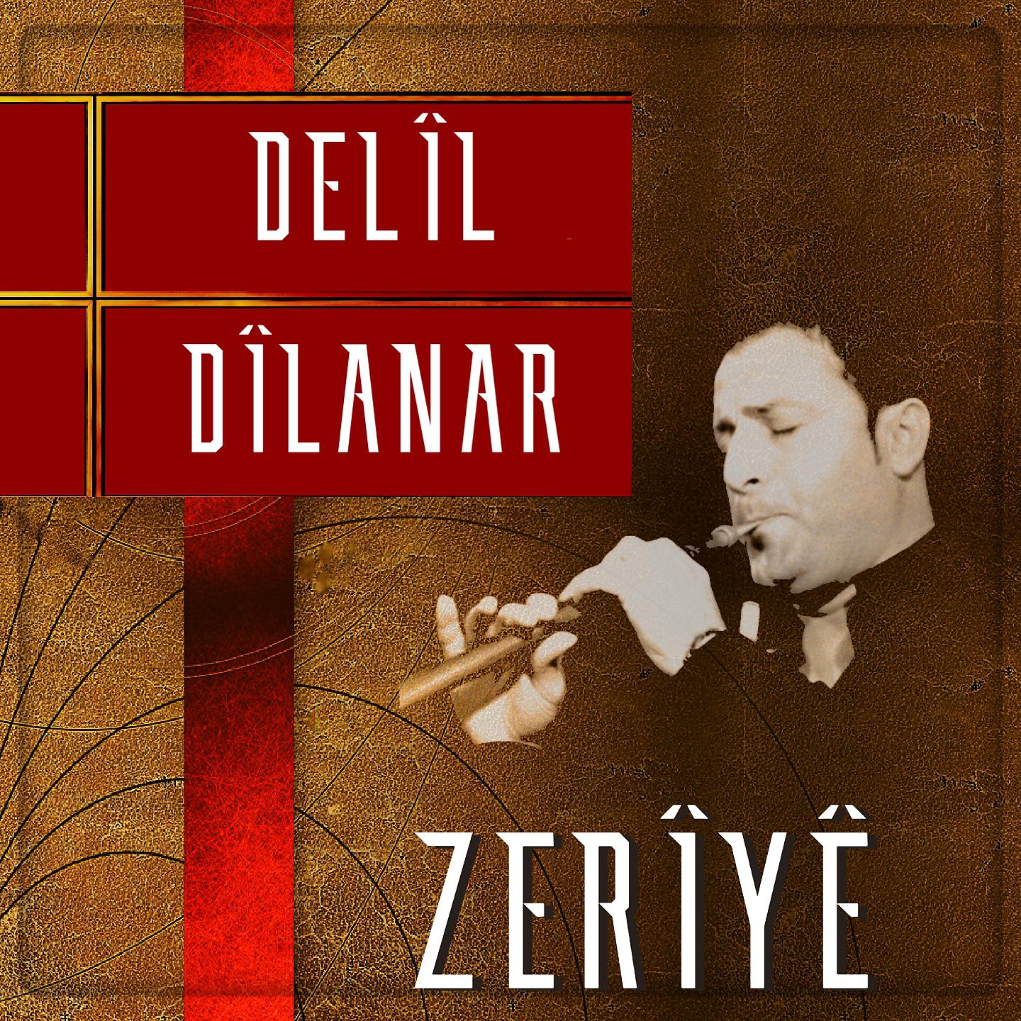 Постер альбома Zerîyê