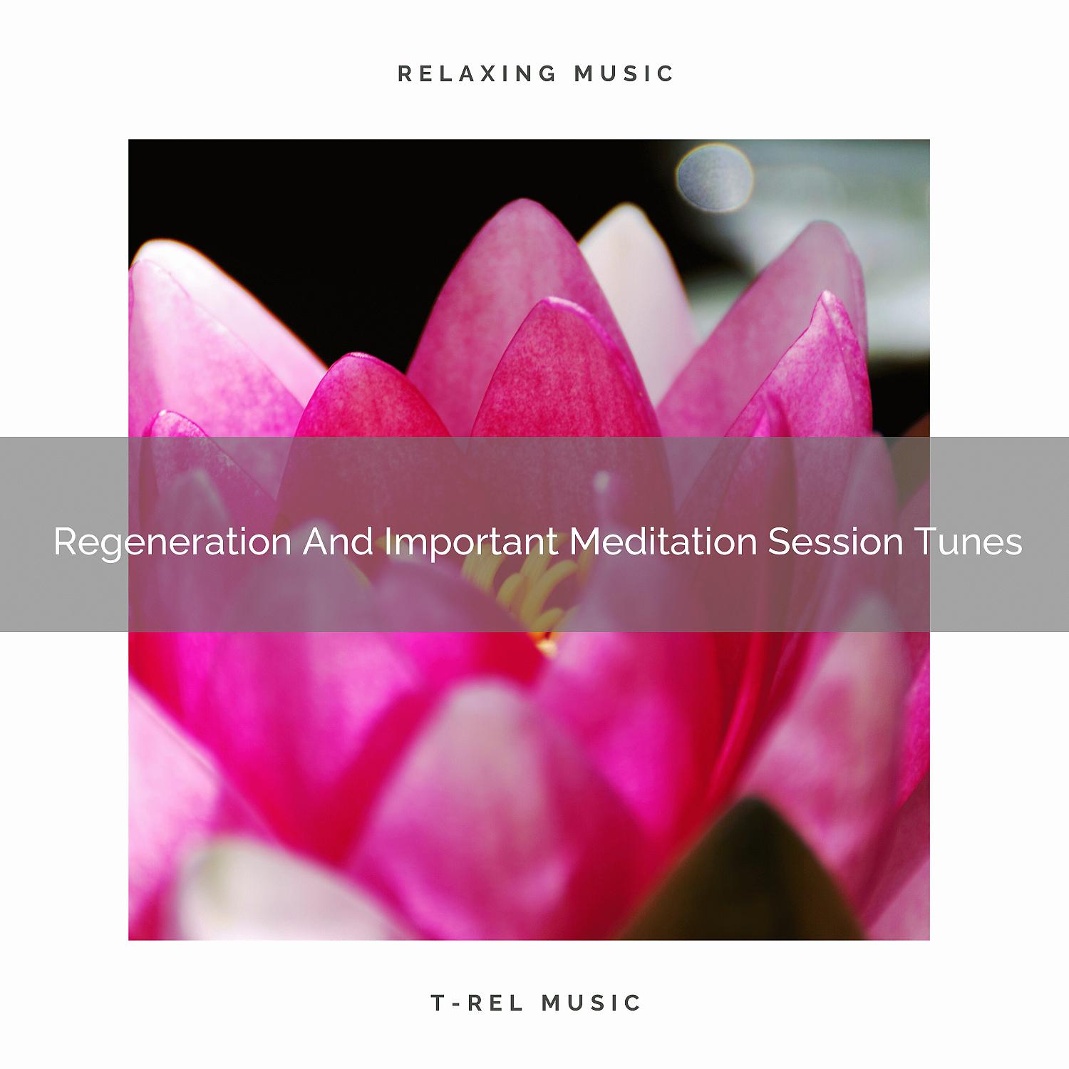 Постер альбома Regeneration And Important Meditation Session Tunes