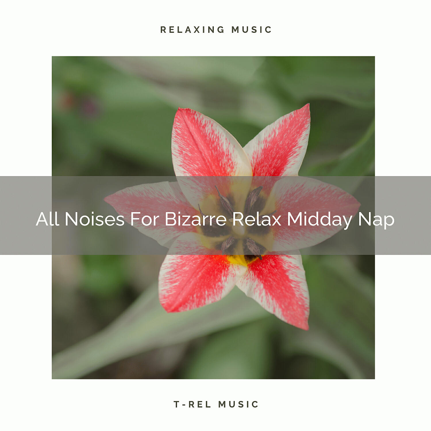 Airplane White Noise Baby Sleep - Calm Noises For Bizarre Relief Sleep