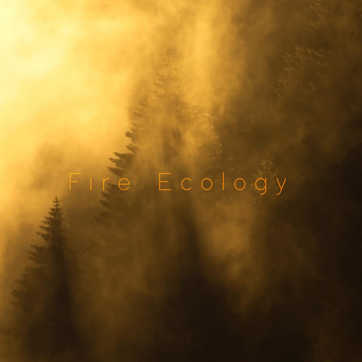 Постер альбома Fire Ecology