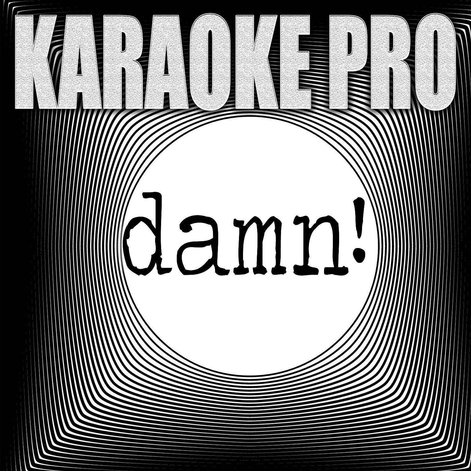 Karaoke Pro - damn! (Originally Performed by Jeris Johnson) (Instrumental Version)