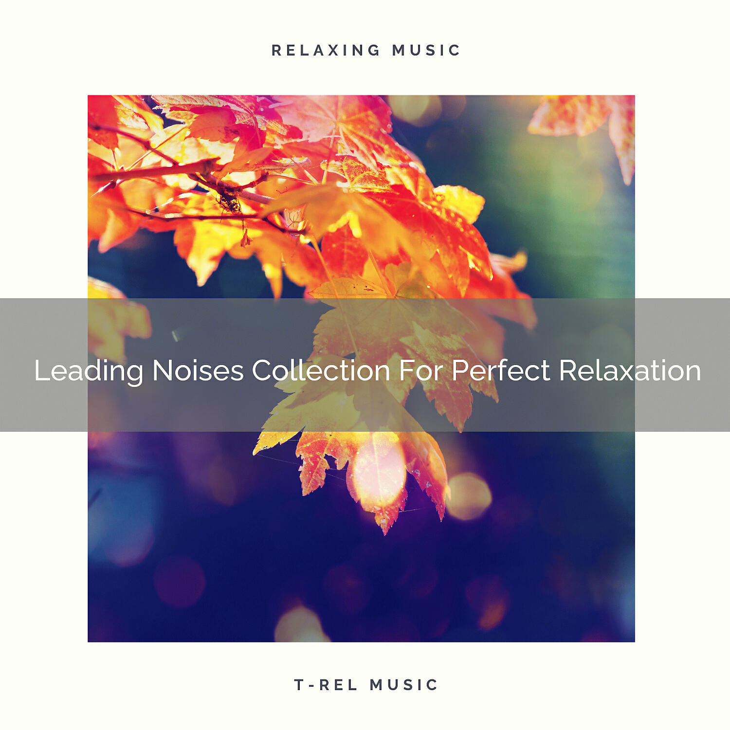 Baby White Noise - Babies Sober White Noise
