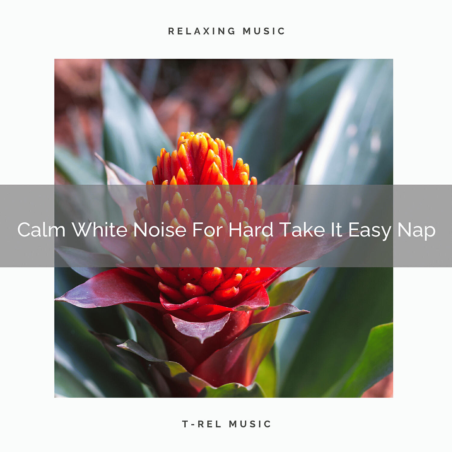 Sleep - Noises For Extreme Take It Easy Night