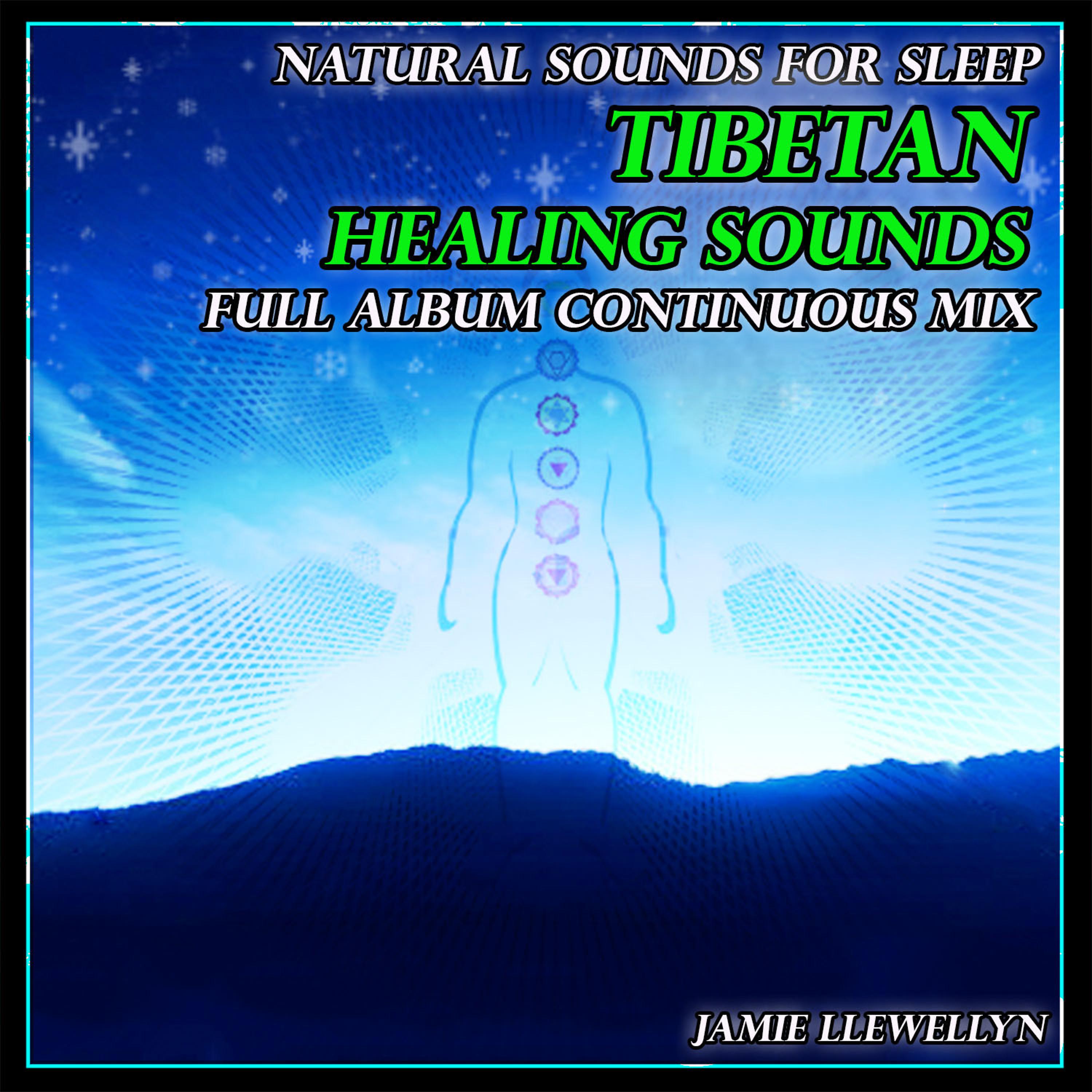 Постер альбома Natural Sounds for Sleep: Tibetan Healing Sounds