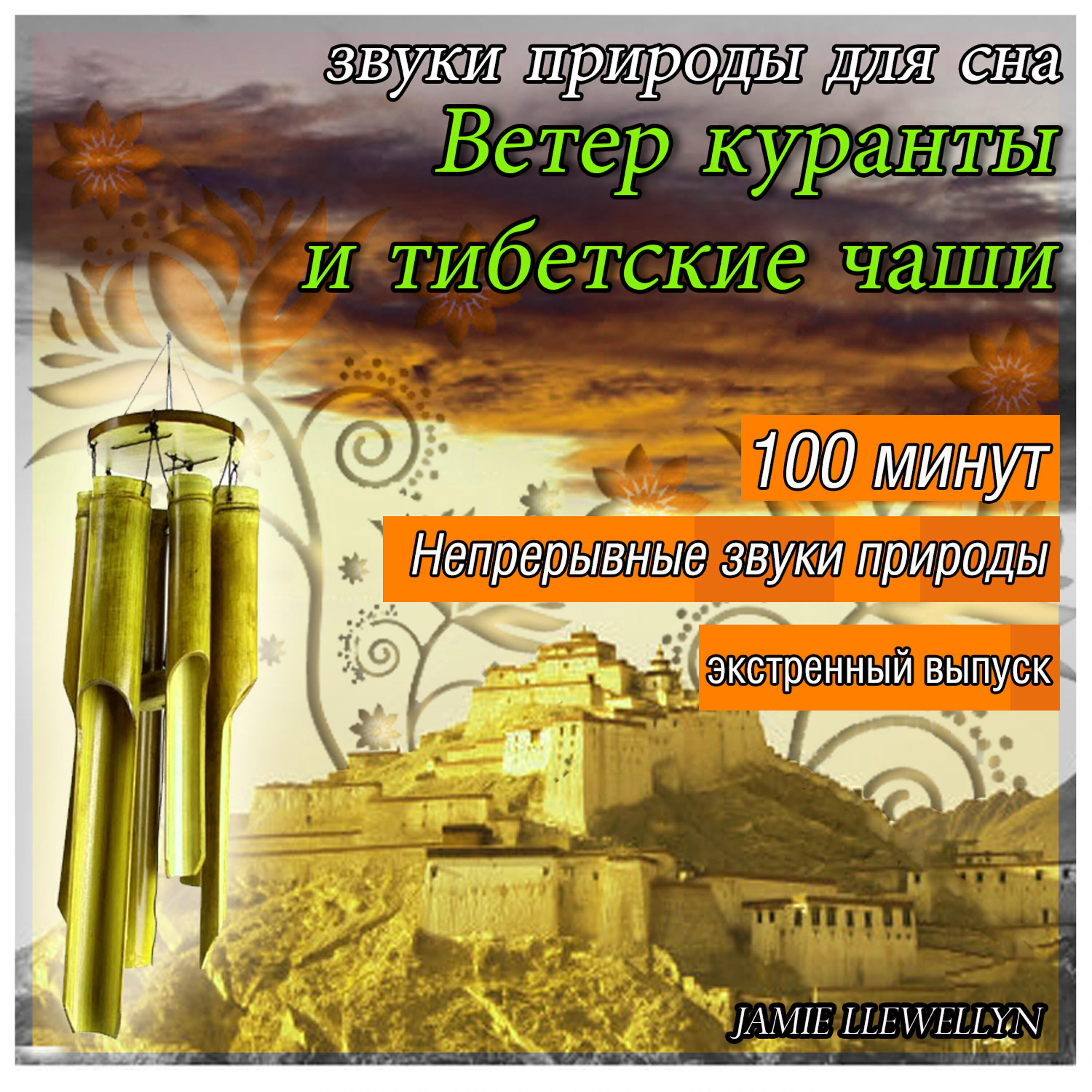 Jamie Llewellyn - Ветер куранты и тибетские чаши (Непрерывные звуки природы)