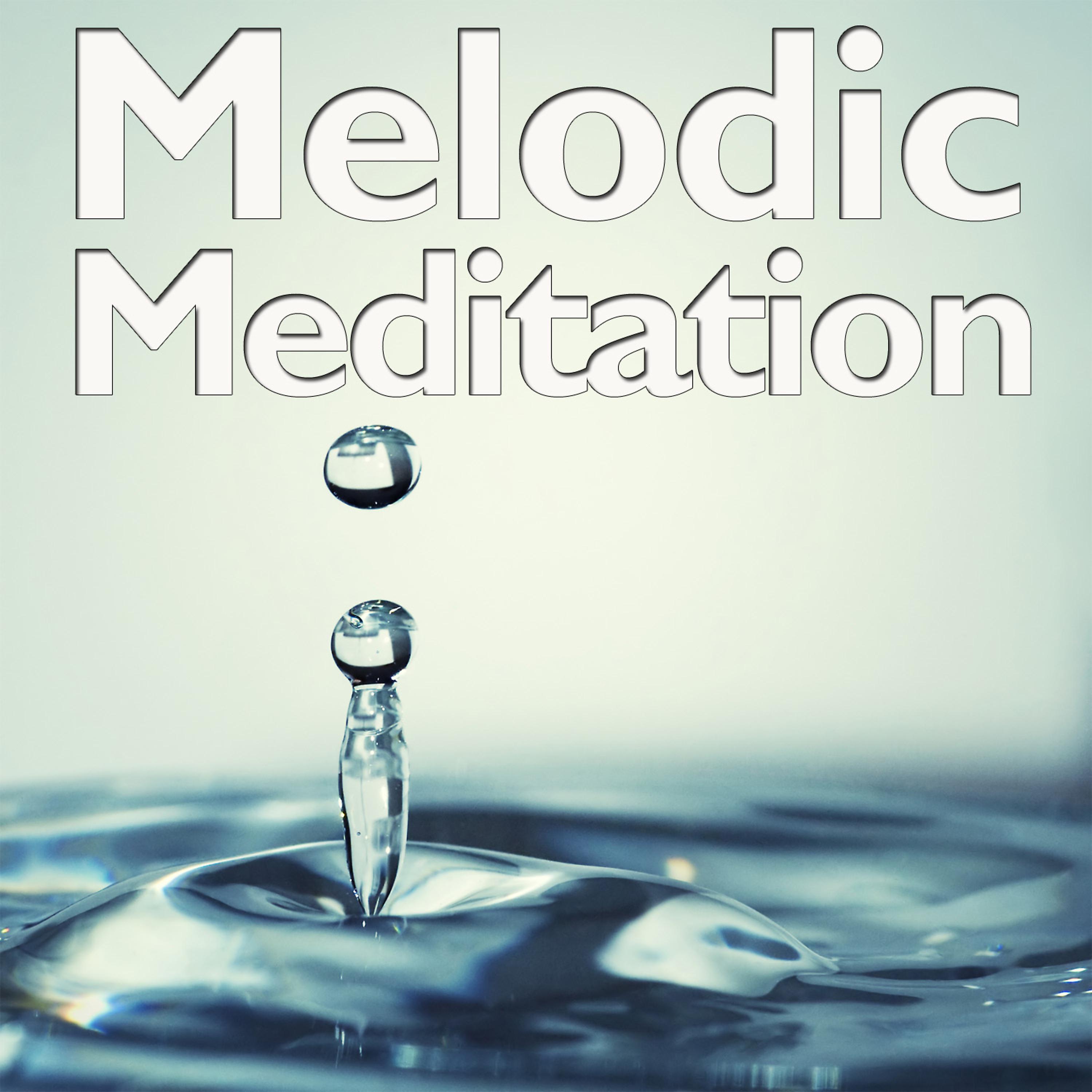Постер альбома Melodic Meditation